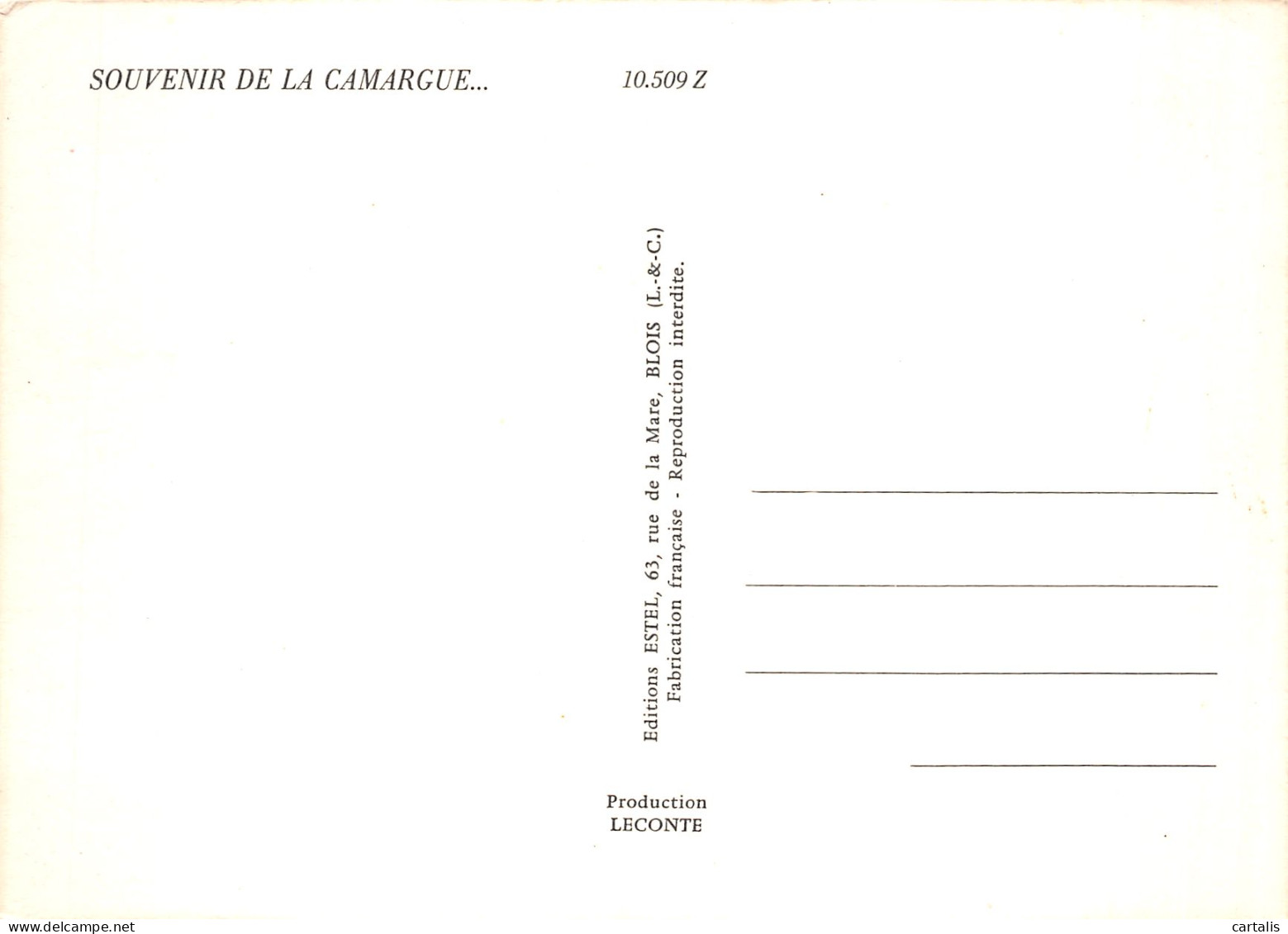 13-EN CAMARGUE-N° 4457-C/0241 - Other & Unclassified