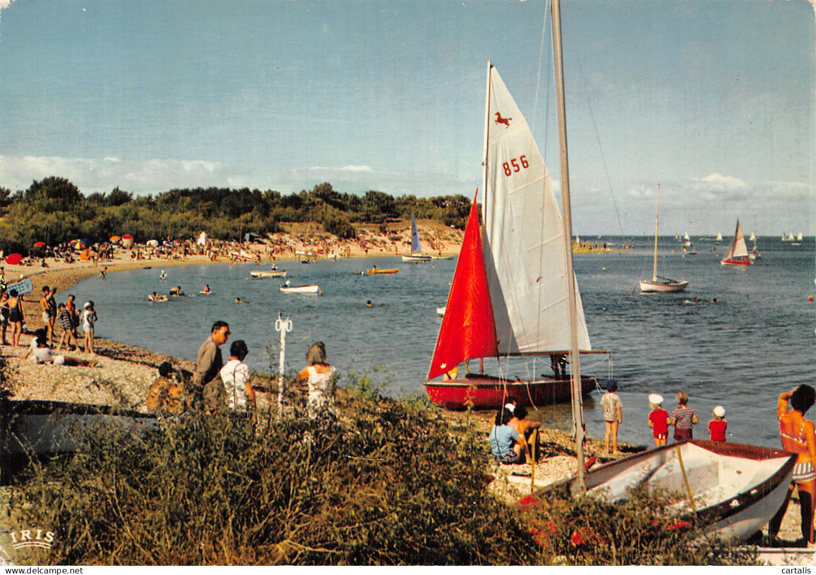 17-ILE DE RE-N° 4458-C/0005 - Ile De Ré