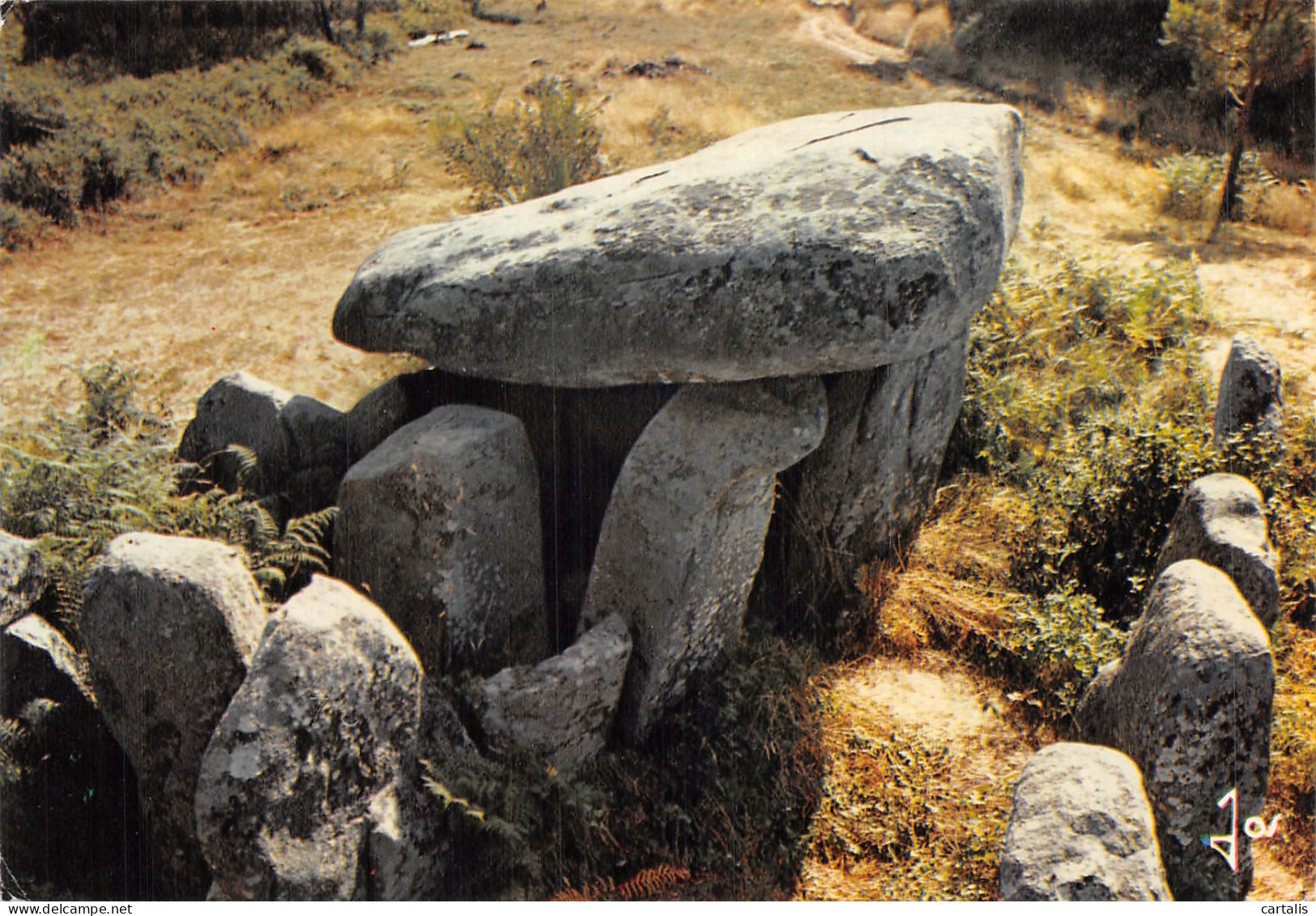 56-CARNAC DOLMEN DE KERAVIAL-N° 4458-A/0195 - Carnac