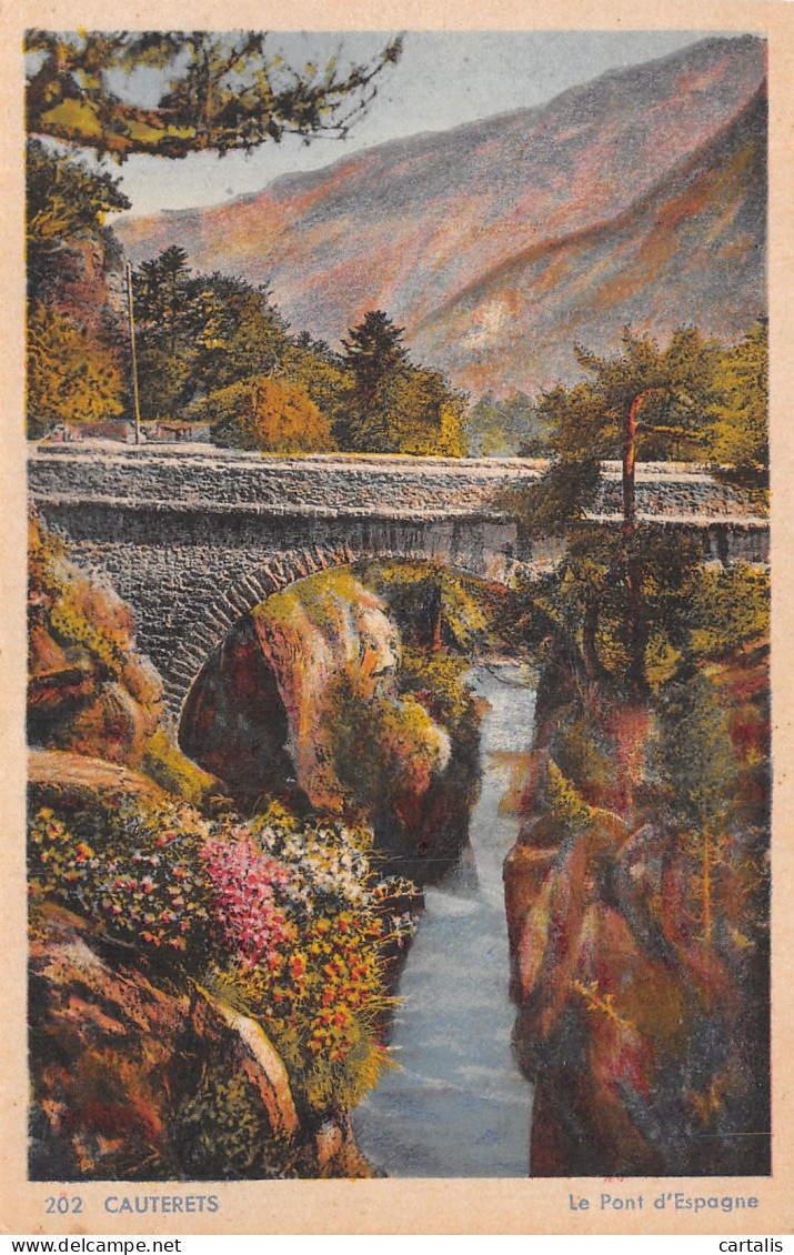 65-CAUTERETS-N°4459-B/0049 - Cauterets