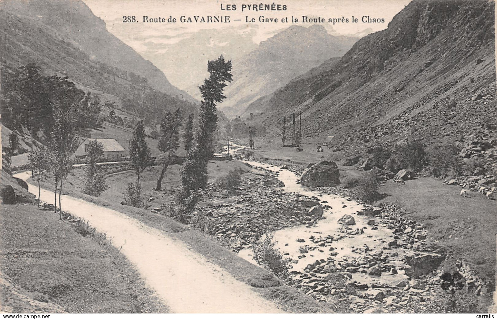 65-GAVARNIE-N°4459-A/0111 - Gavarnie