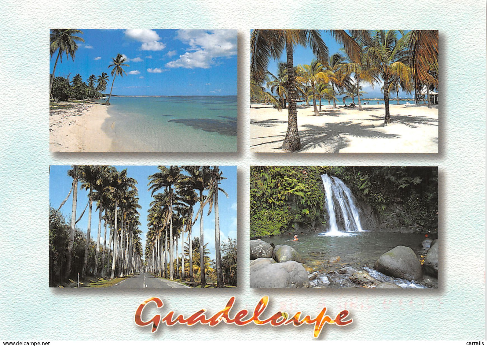 971-GUADELOUPE-N° 4458-D/0331 - Other & Unclassified