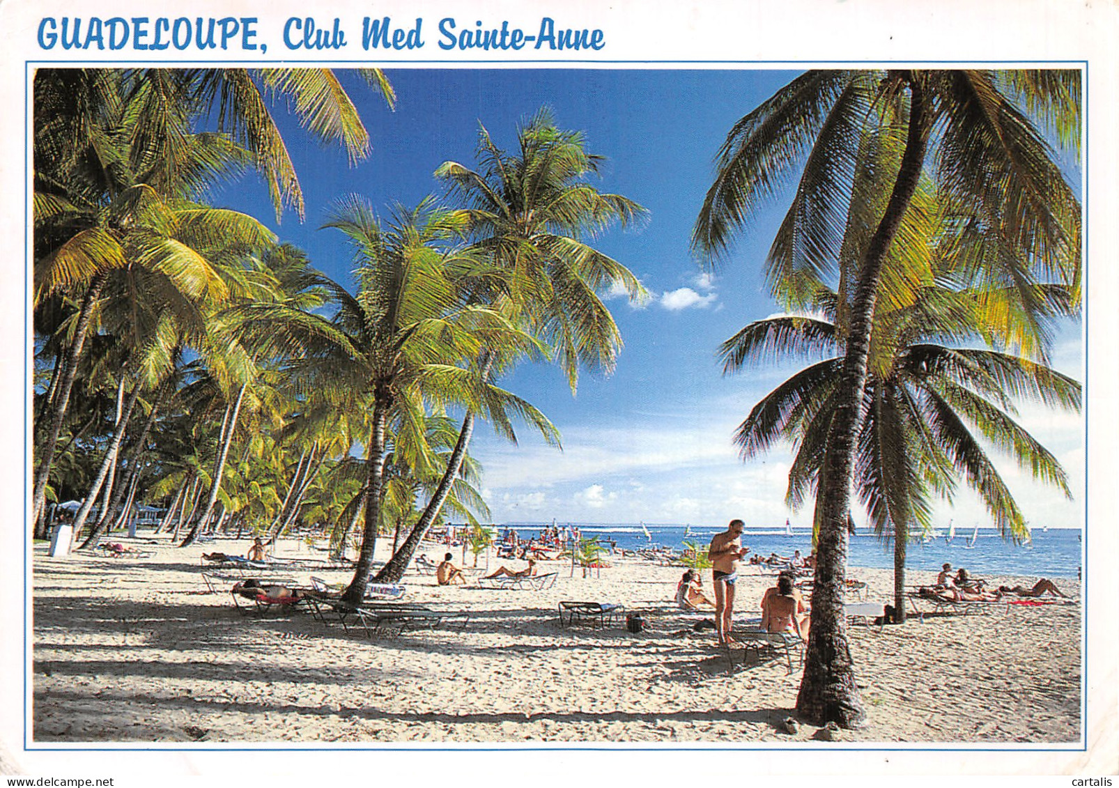971-GUADELOUPE-N° 4458-D/0269 - Other & Unclassified