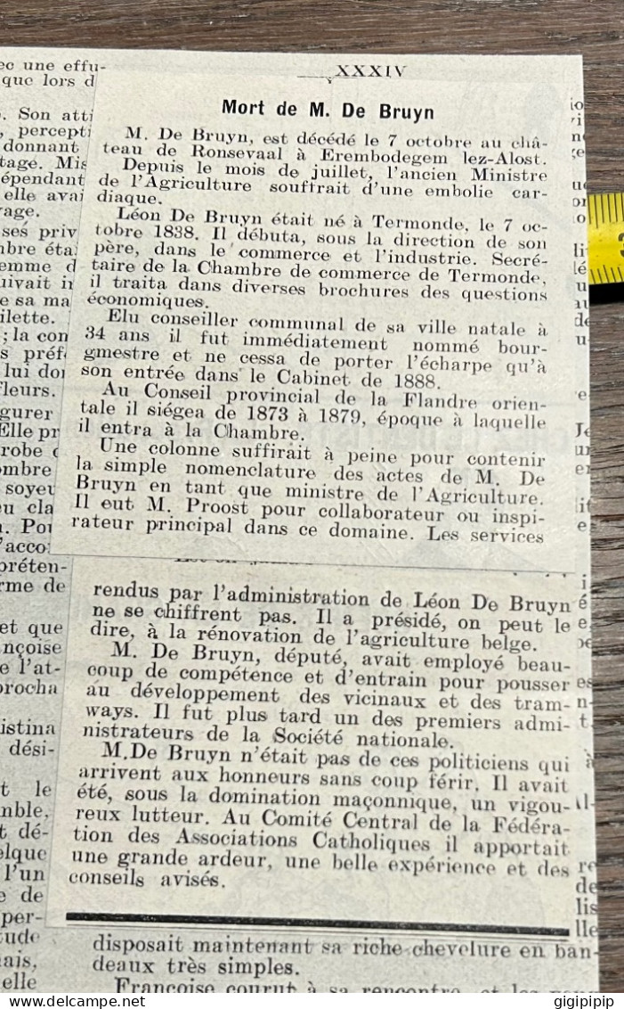 1908 PATI Mort De Leon De BRUYN, ANCIEN MINISTRE DE L'AGRICULTURE Château Ronsevaal Erembodegem Lez-Alost. - Sammlungen