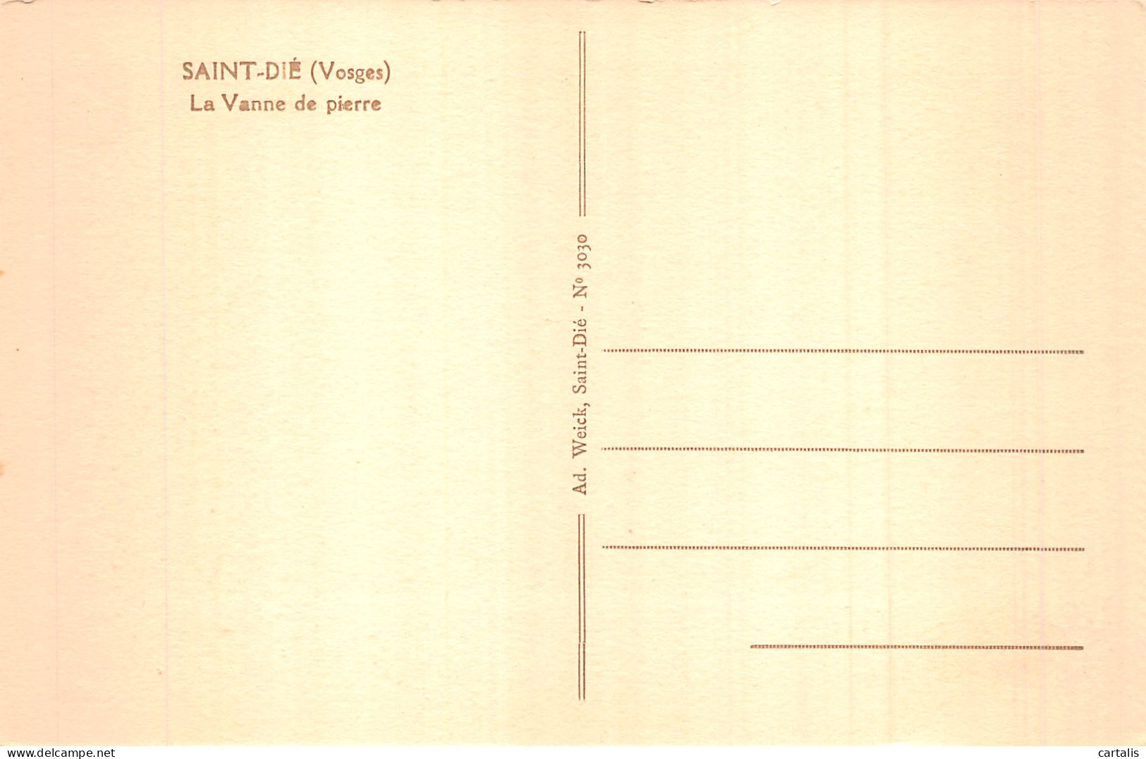 88-SAINT DIE-N°4459-C/0313 - Saint Die