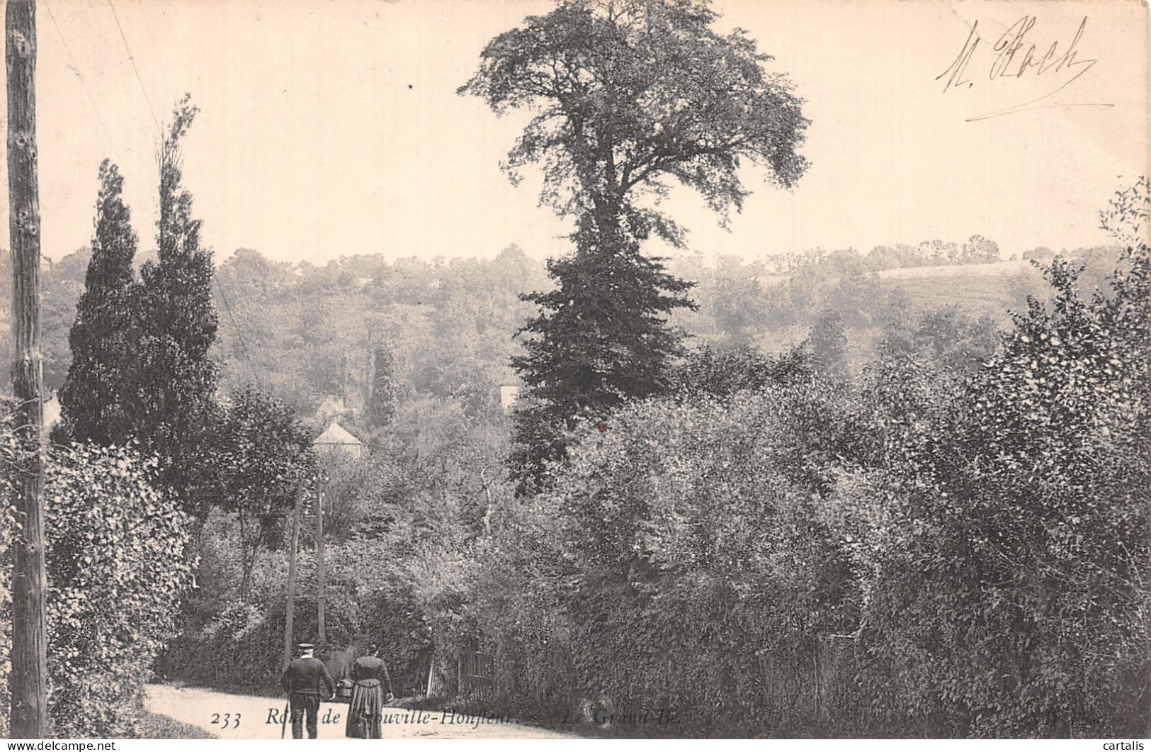 14-TROUVILLE-N°4459-C/0065 - Trouville