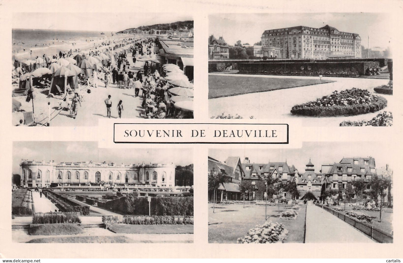 14-DEAUVILLE-N°4459-B/0275 - Deauville