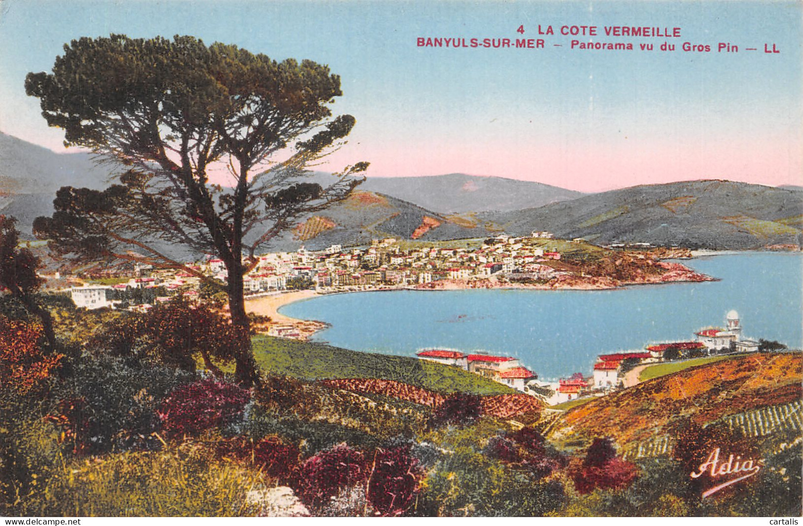 66-BANYULS SUR MER-N°4460-A/0315 - Banyuls Sur Mer