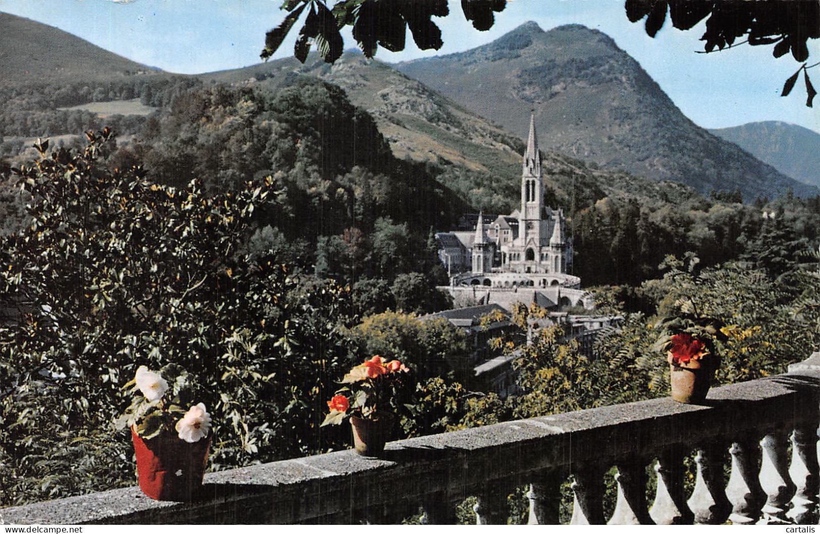 65-LOURDES-N°4460-A/0097 - Lourdes