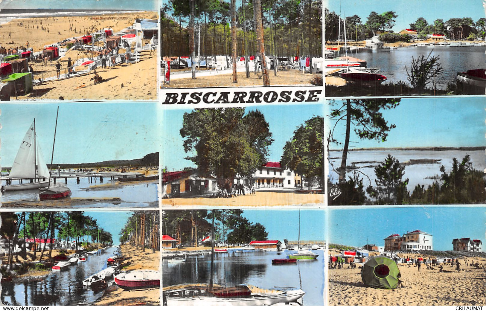 40-BISCARROSSE-N°T5089-E/0251 - Biscarrosse