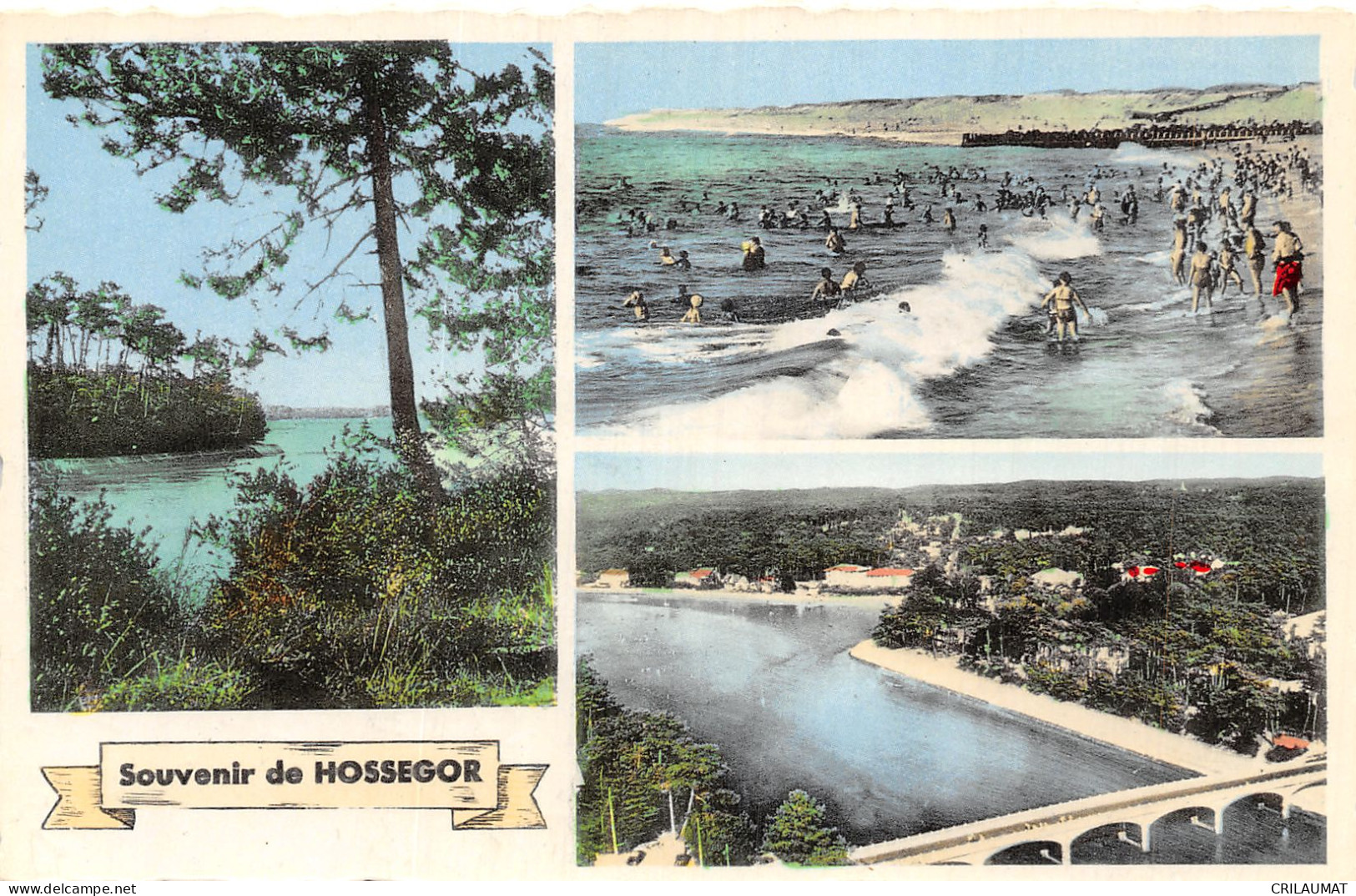 40-HOSSEGOR-N°T5089-E/0243 - Hossegor