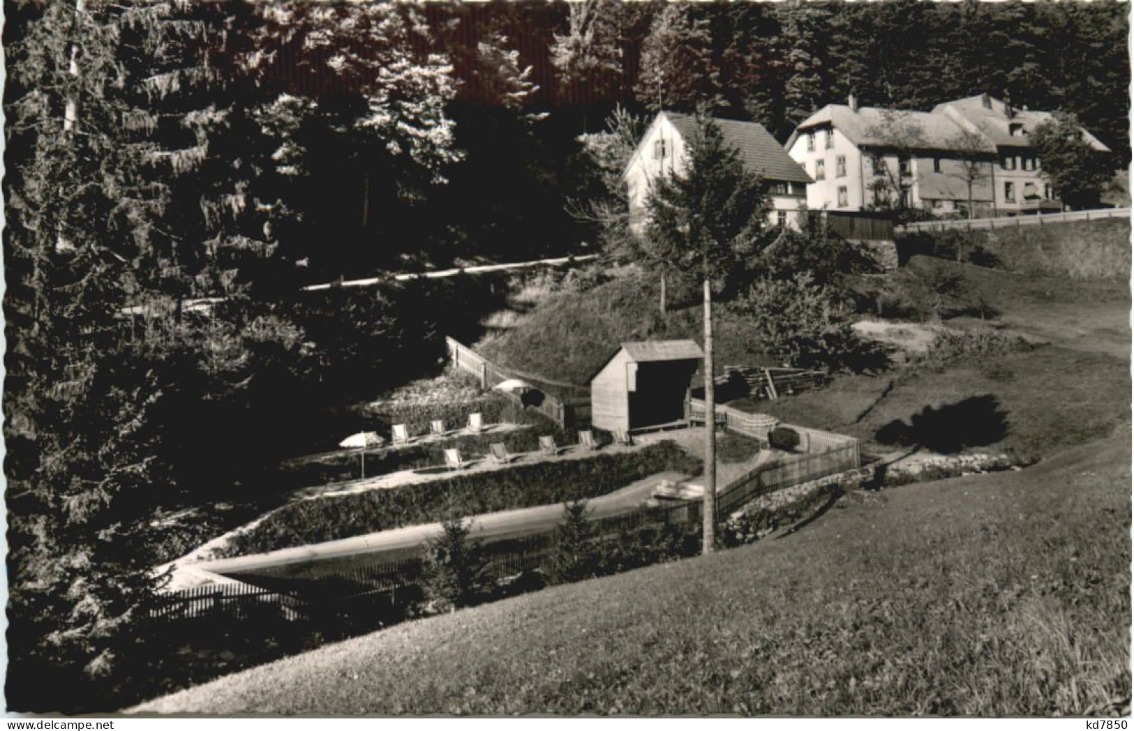 Häg über Zell Im Wiesental - Asthaus Zum Forsthof - Loerrach