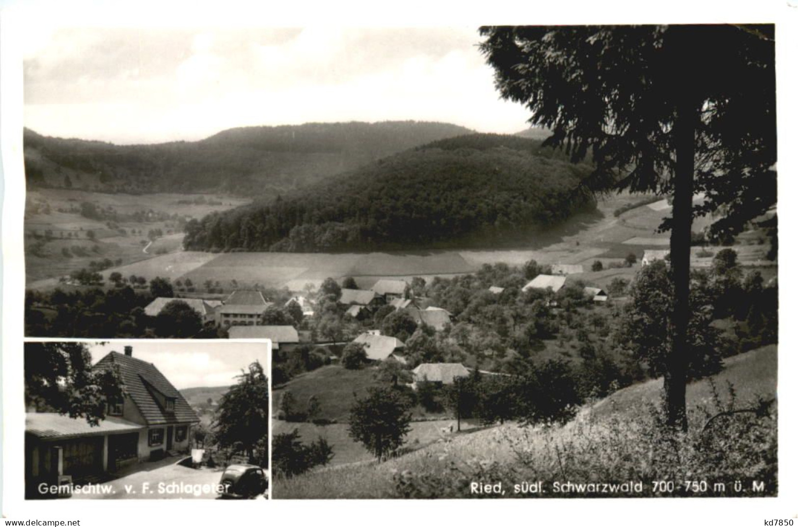 Ried Schwarzwald - Loerrach