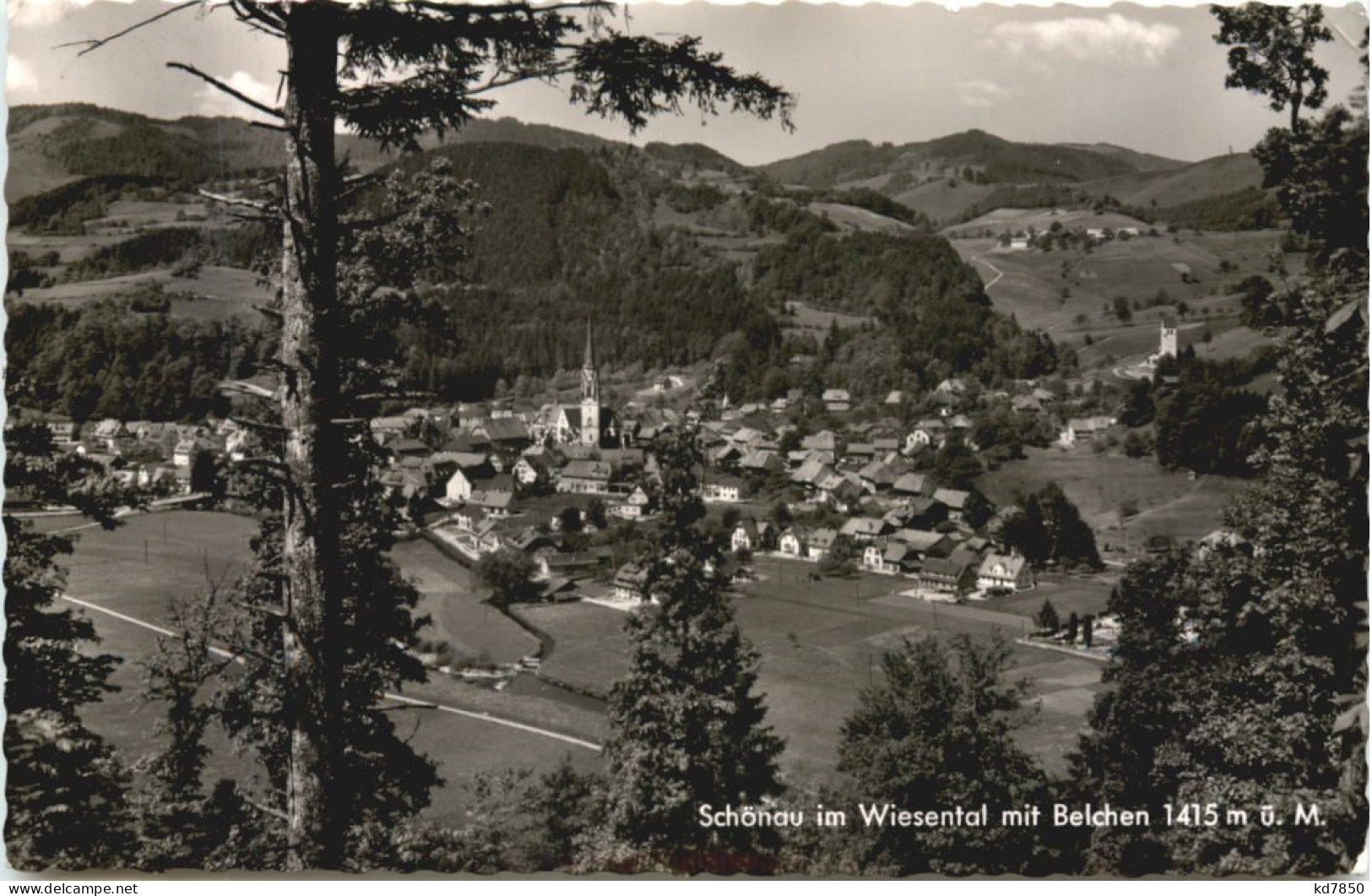 Schönau Im Wiesental - Loerrach