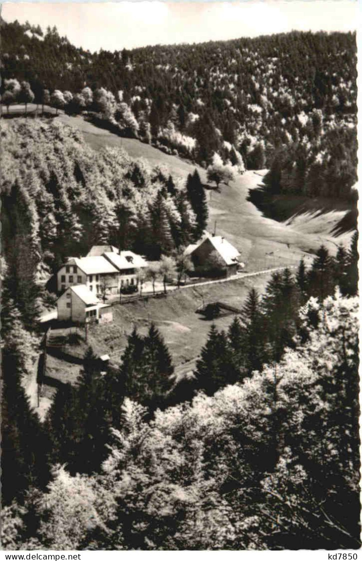 Häg Zell Im Wiesental - Loerrach