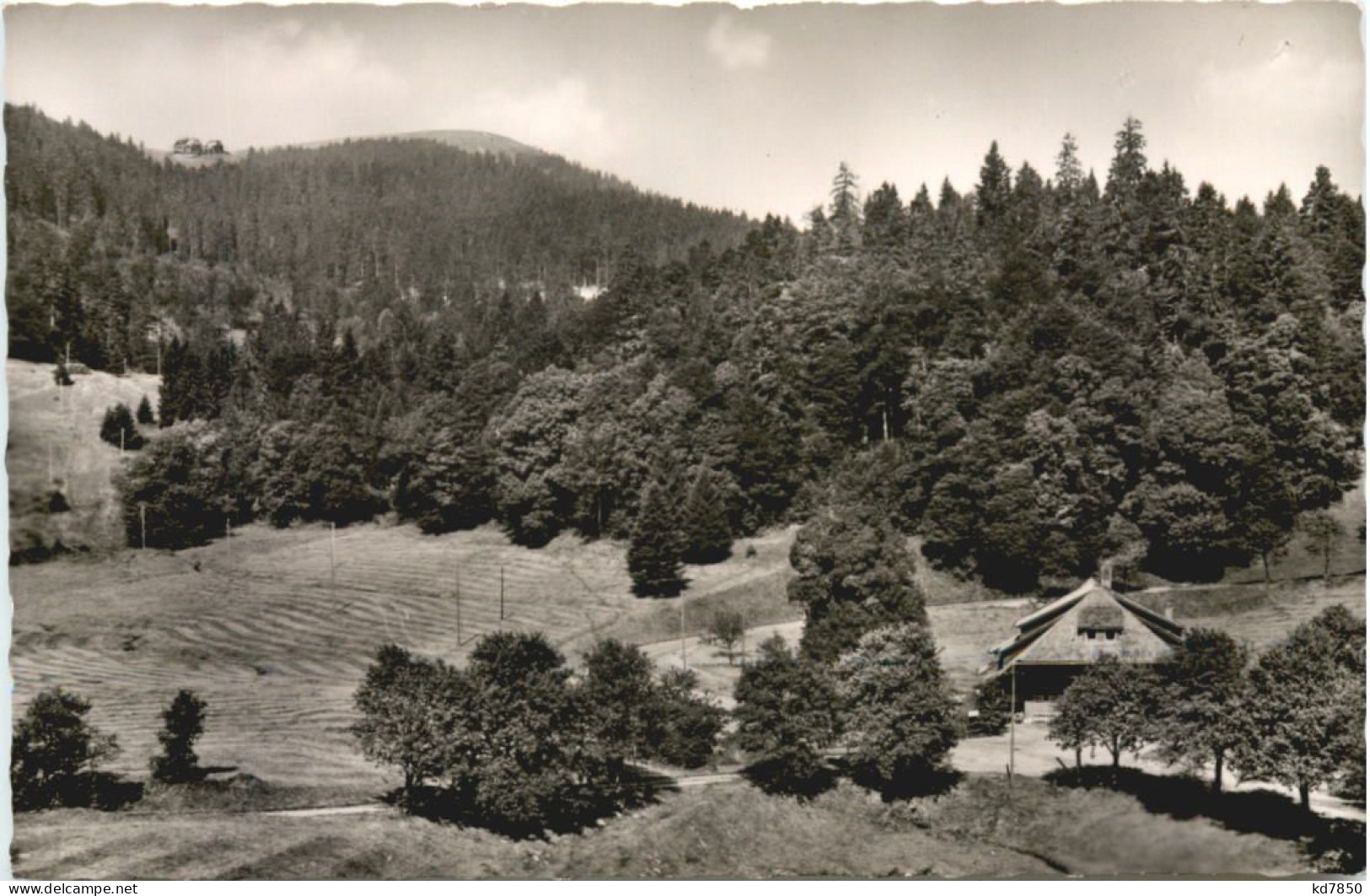 Belchen Im Schwarzwald - Loerrach