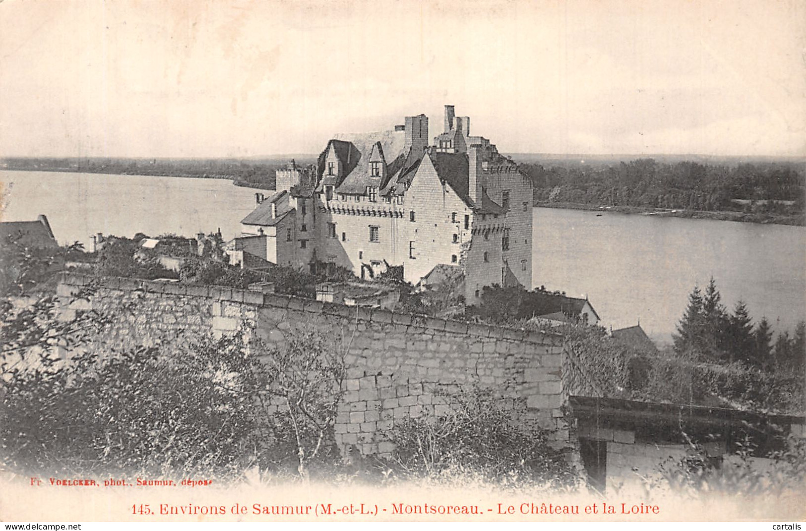 49-MONTSOREAU-N°4461-A/0139 - Andere & Zonder Classificatie