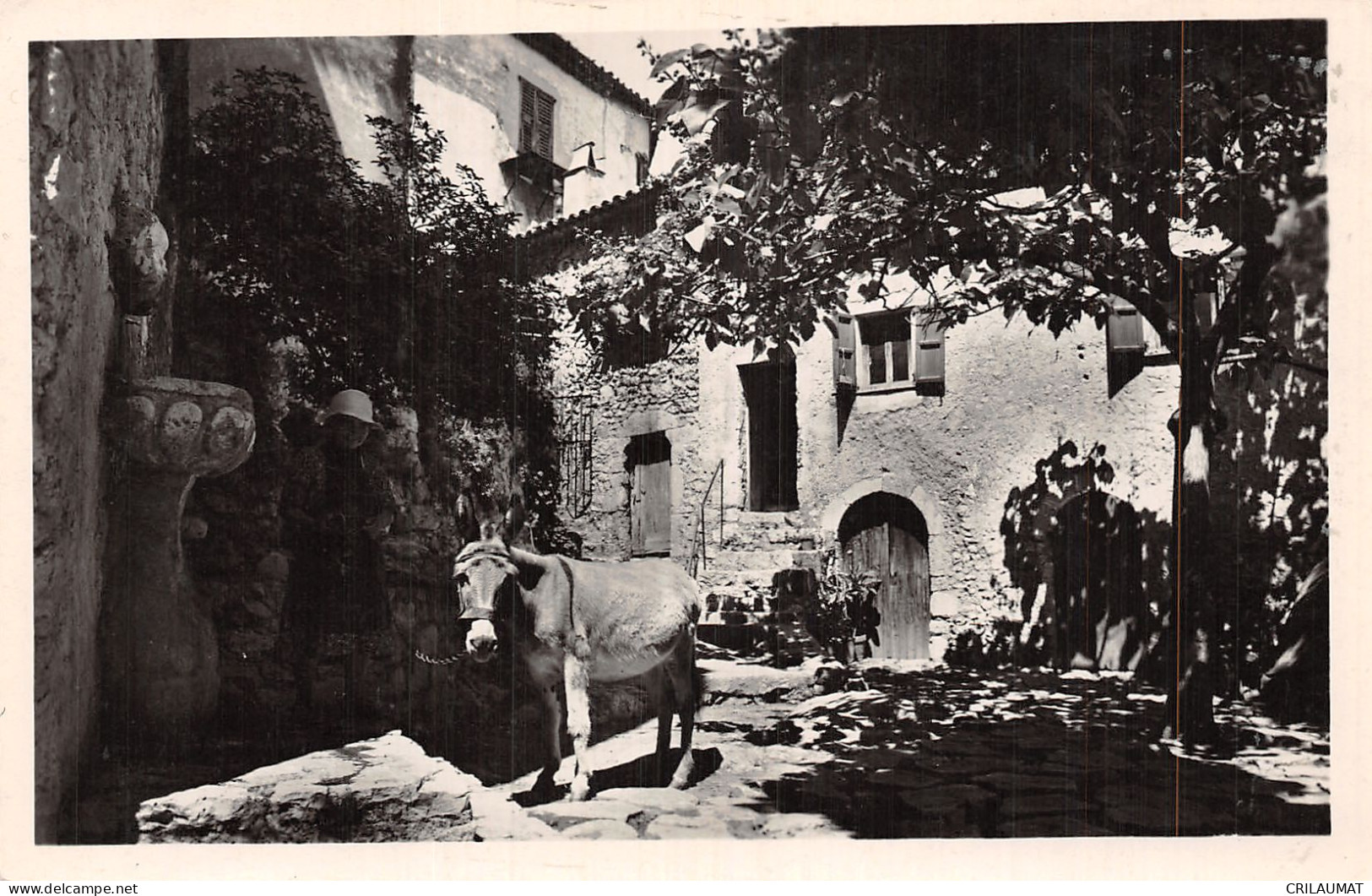 06-EZE VILLAGE-N°T5090-F/0393 - Eze