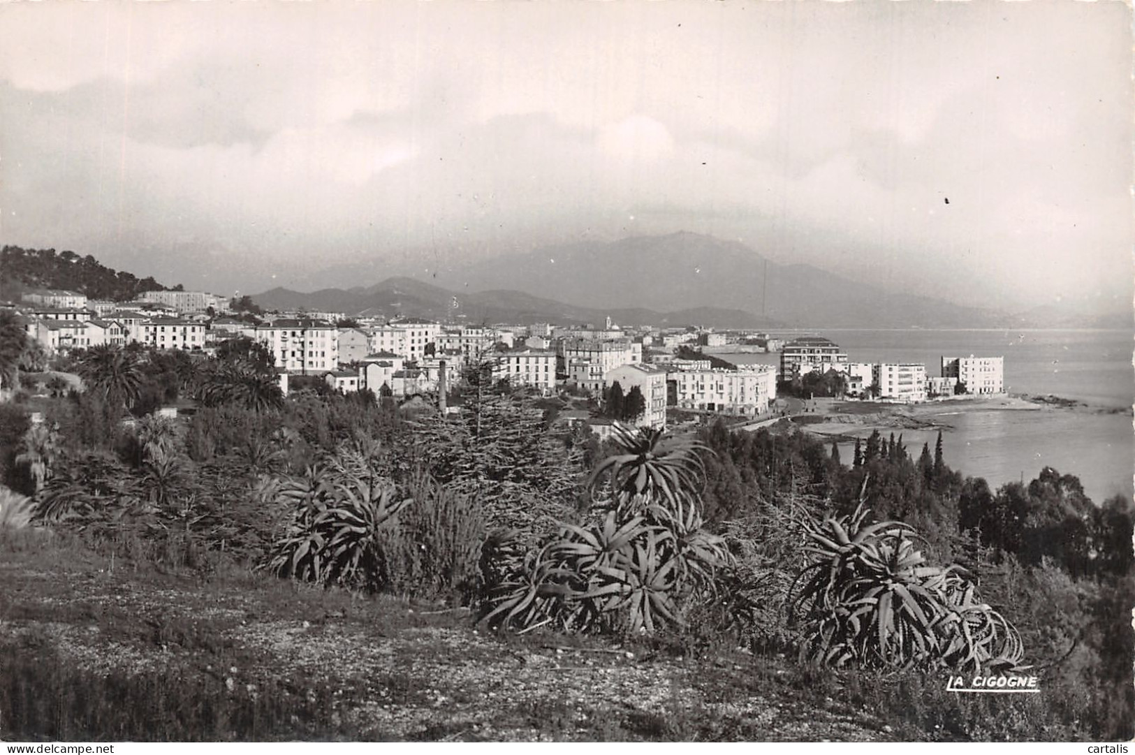 20-CORSE AJACCIO-N°4460-G/0355 - Otros & Sin Clasificación