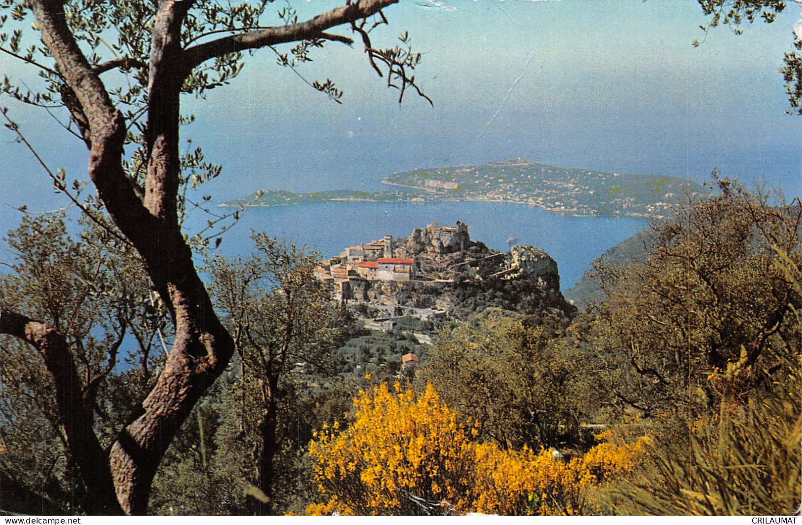 06-EZE-N°T5090-F/0117 - Eze