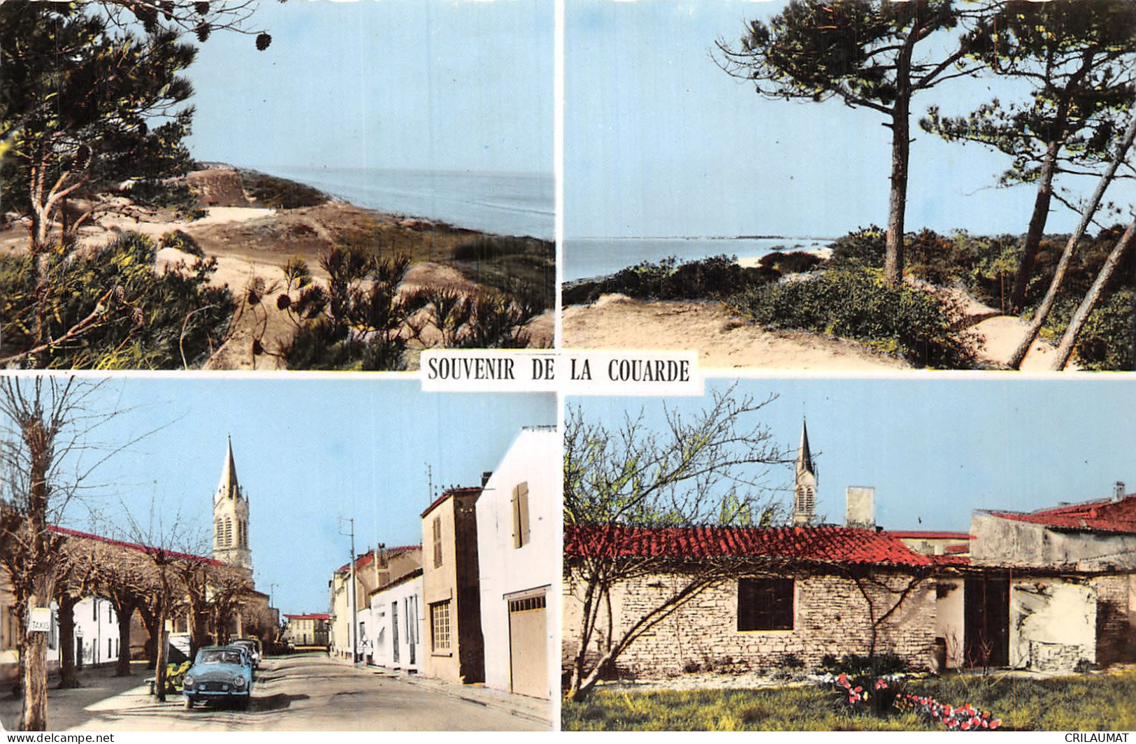 17-ILE DE RE LA COUARDE-N°T5090-E/0297 - Ile De Ré