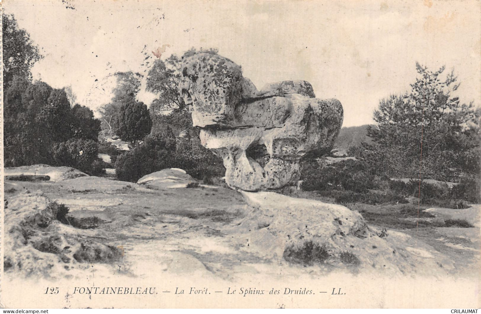 77-FONTAINEBLEAU LA FORET-N°T5090-E/0235 - Fontainebleau