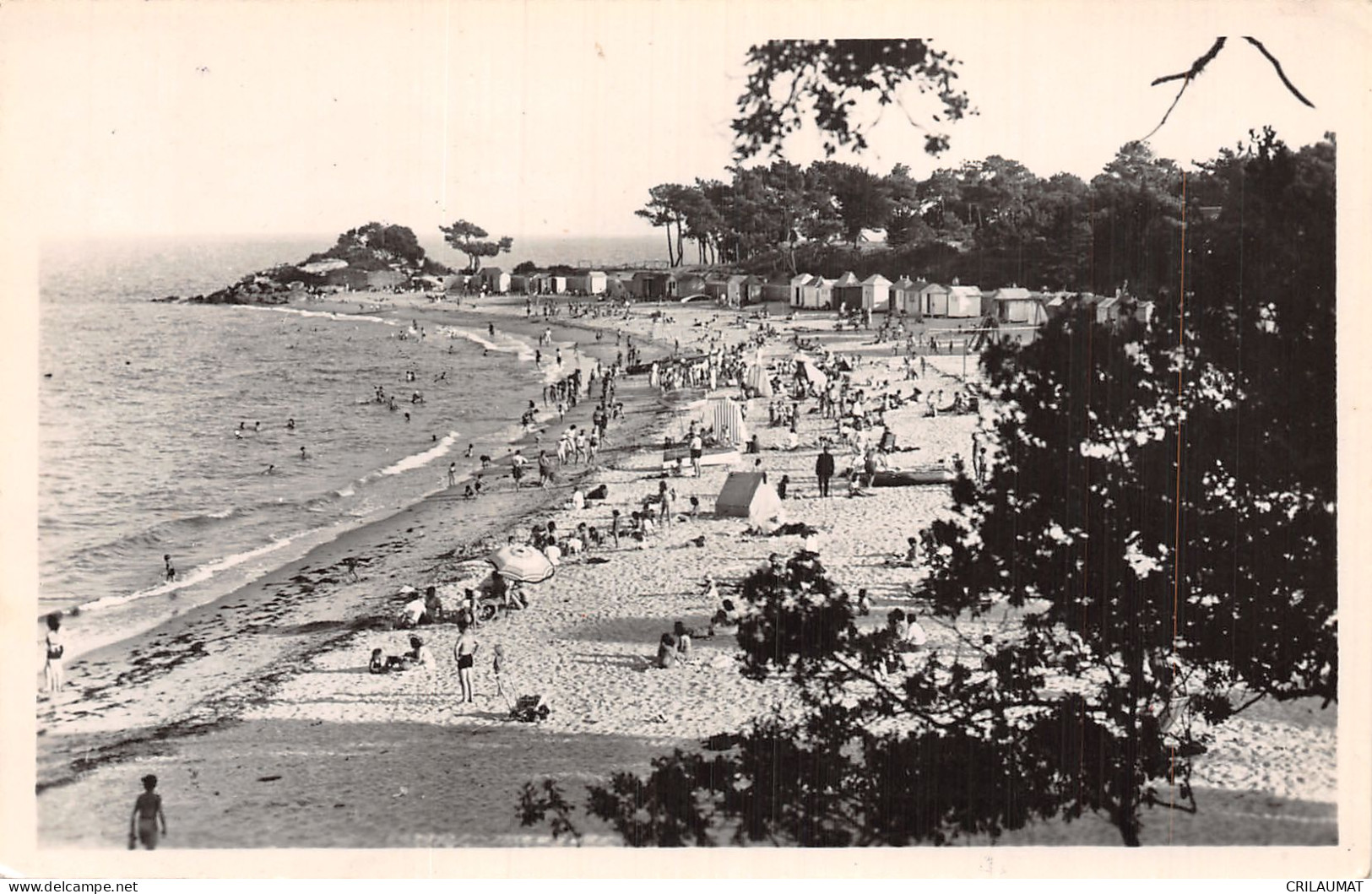 85-ILE DE NOIRMOUTIER-N°T5090-E/0179 - Ile De Noirmoutier