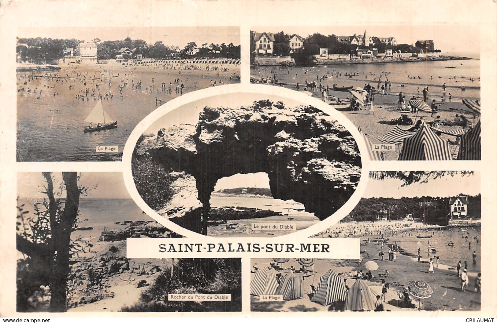 17-SAINT PALAIS SUR MER-N°T5090-D/0395 - Saint-Palais-sur-Mer