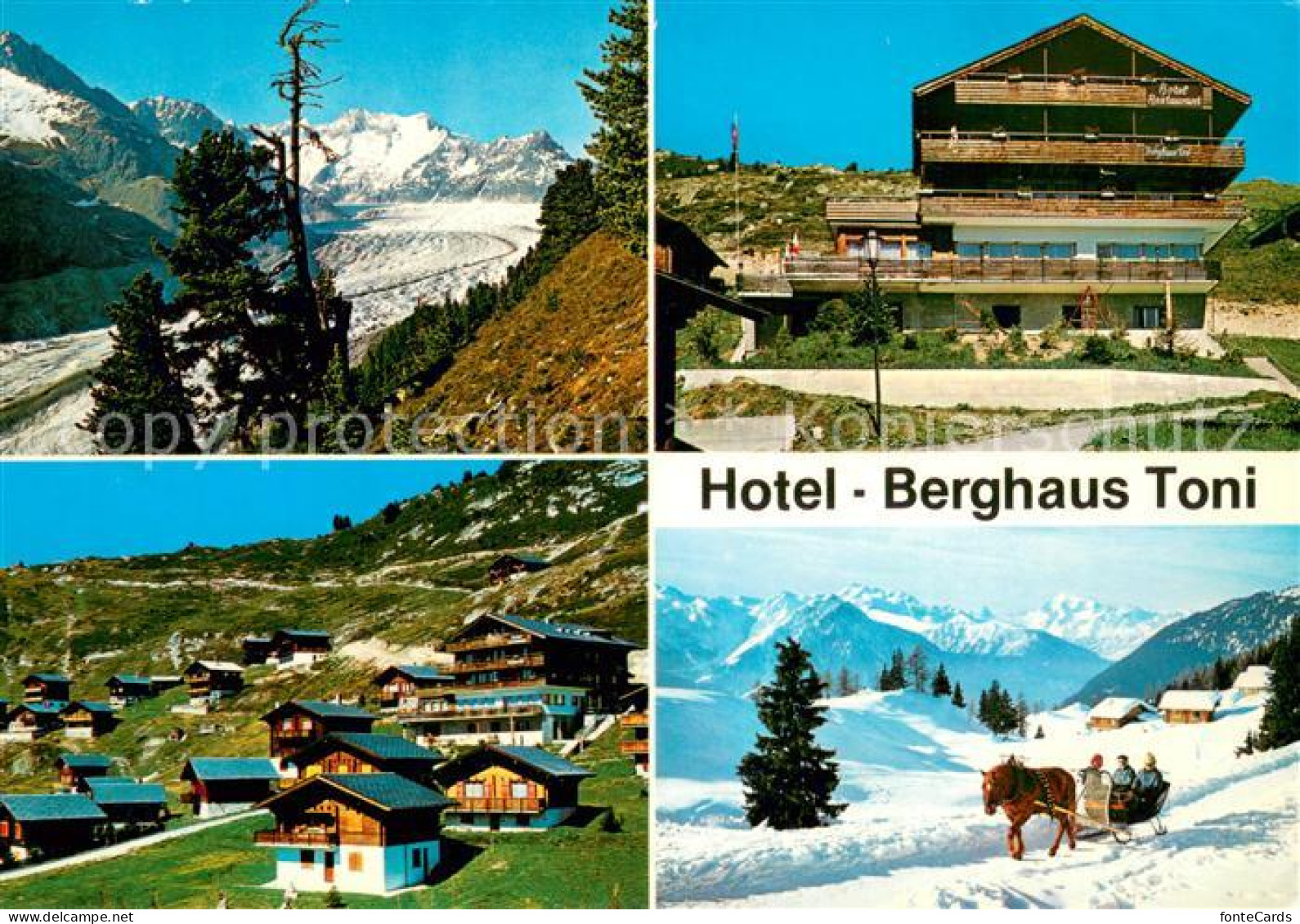 13703735 Riederalp Hotel Berghaus Toni Ferienhaeuser Pferdeschlitten Winterpanor - Autres & Non Classés