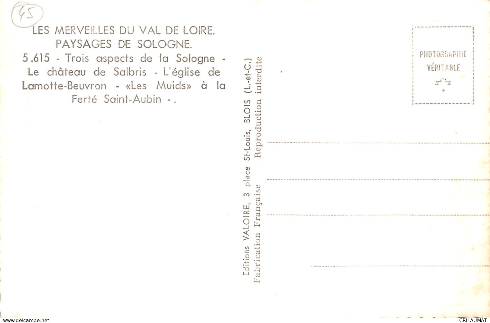 45-LA SOLOGNE-N°T5091-A/0123 - Andere & Zonder Classificatie