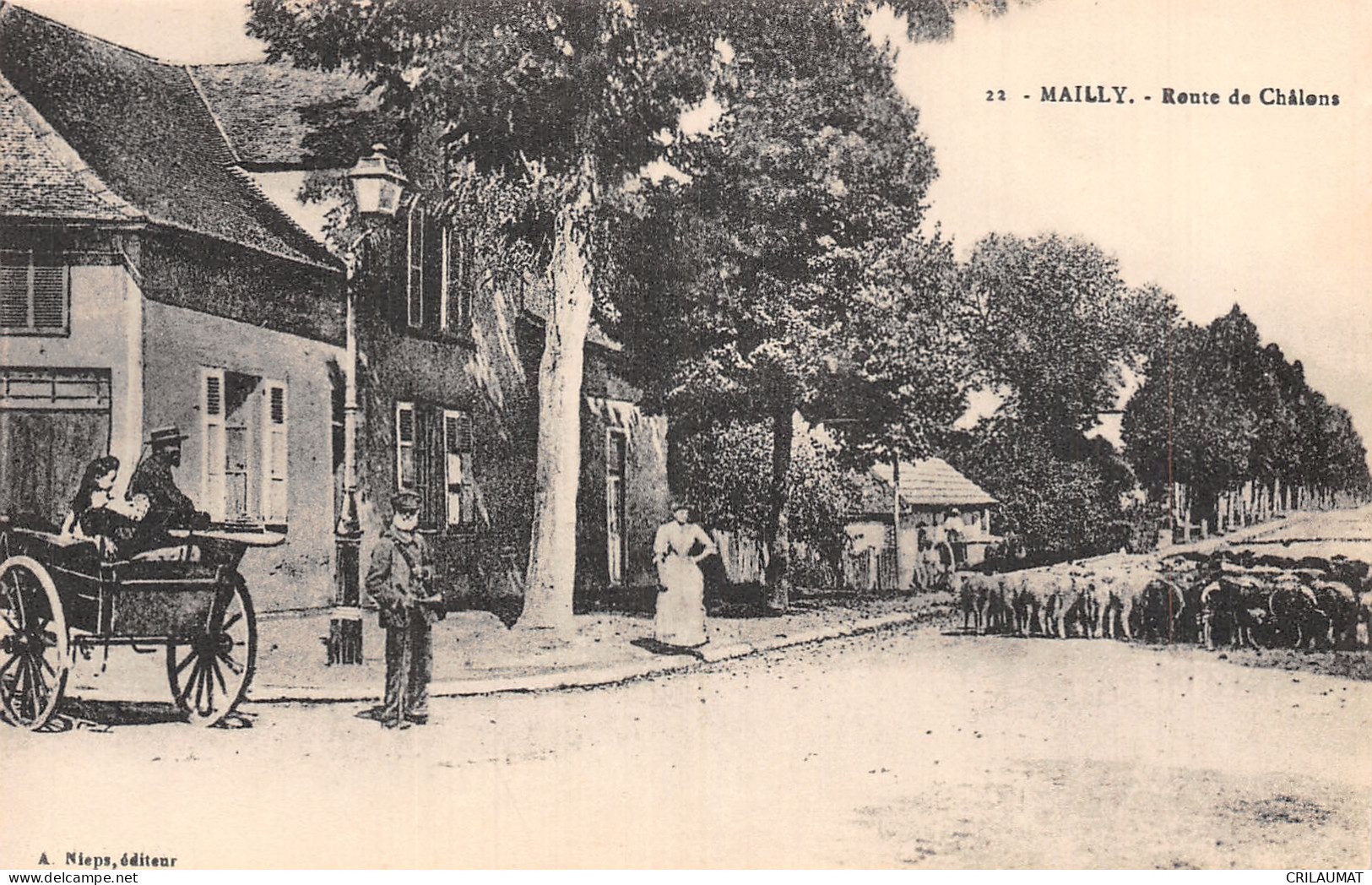 10-MAILLY LE CAMP-N°T5090-G/0169 - Mailly-le-Camp