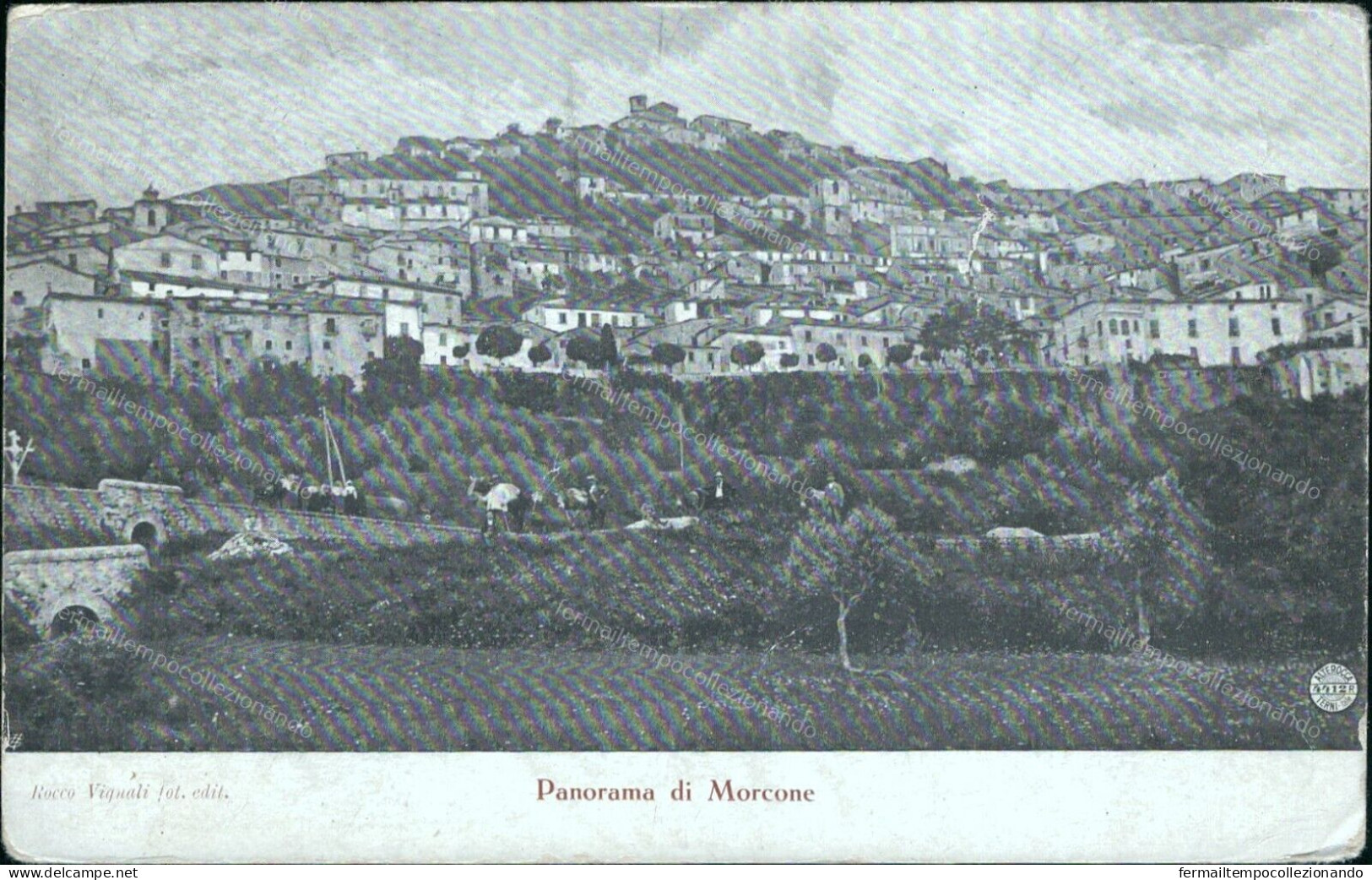 V799 Cartolina Panorama Di Morcone Provincia Di Benevento - Benevento
