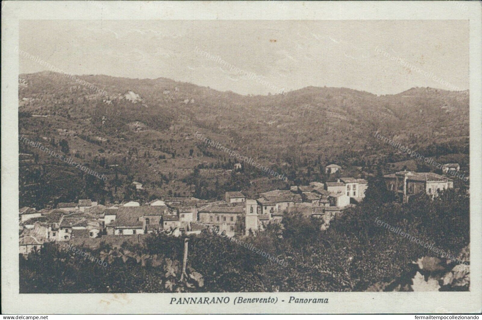 V804 Cartolina Pannarano Panorama  Provincia Di Benevento Campania - Benevento