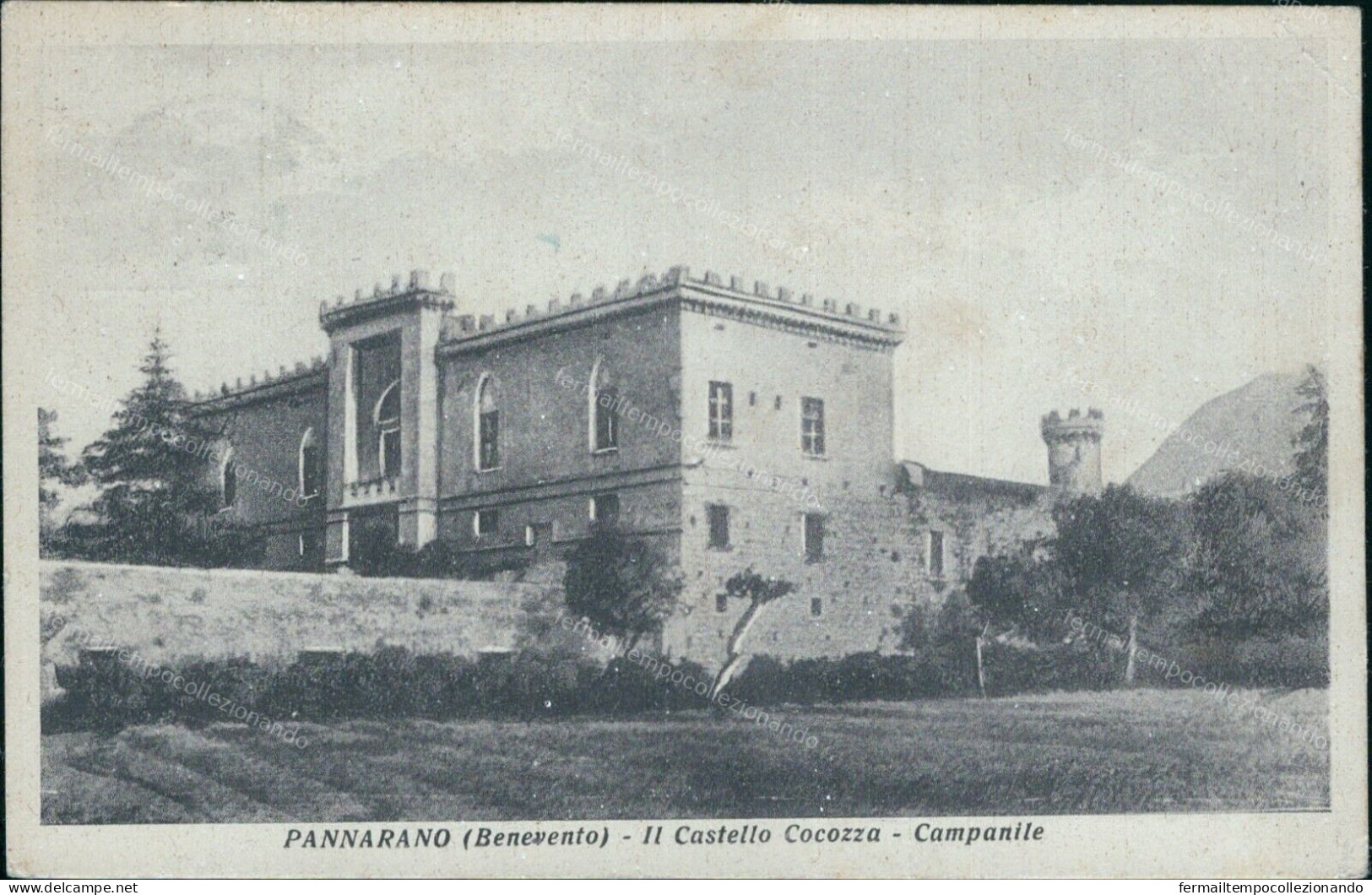 V805 Cartolina Pannarano Il Castello Cocozza  Provincia Di Benevento Campania - Benevento