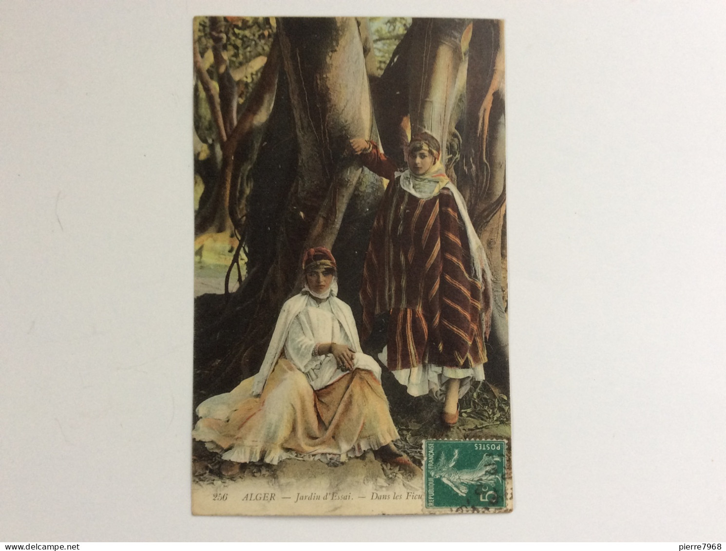 Alger : Jardin D'Essai - Dans Les Ficus - LL - Circulée 1910 - Scenes
