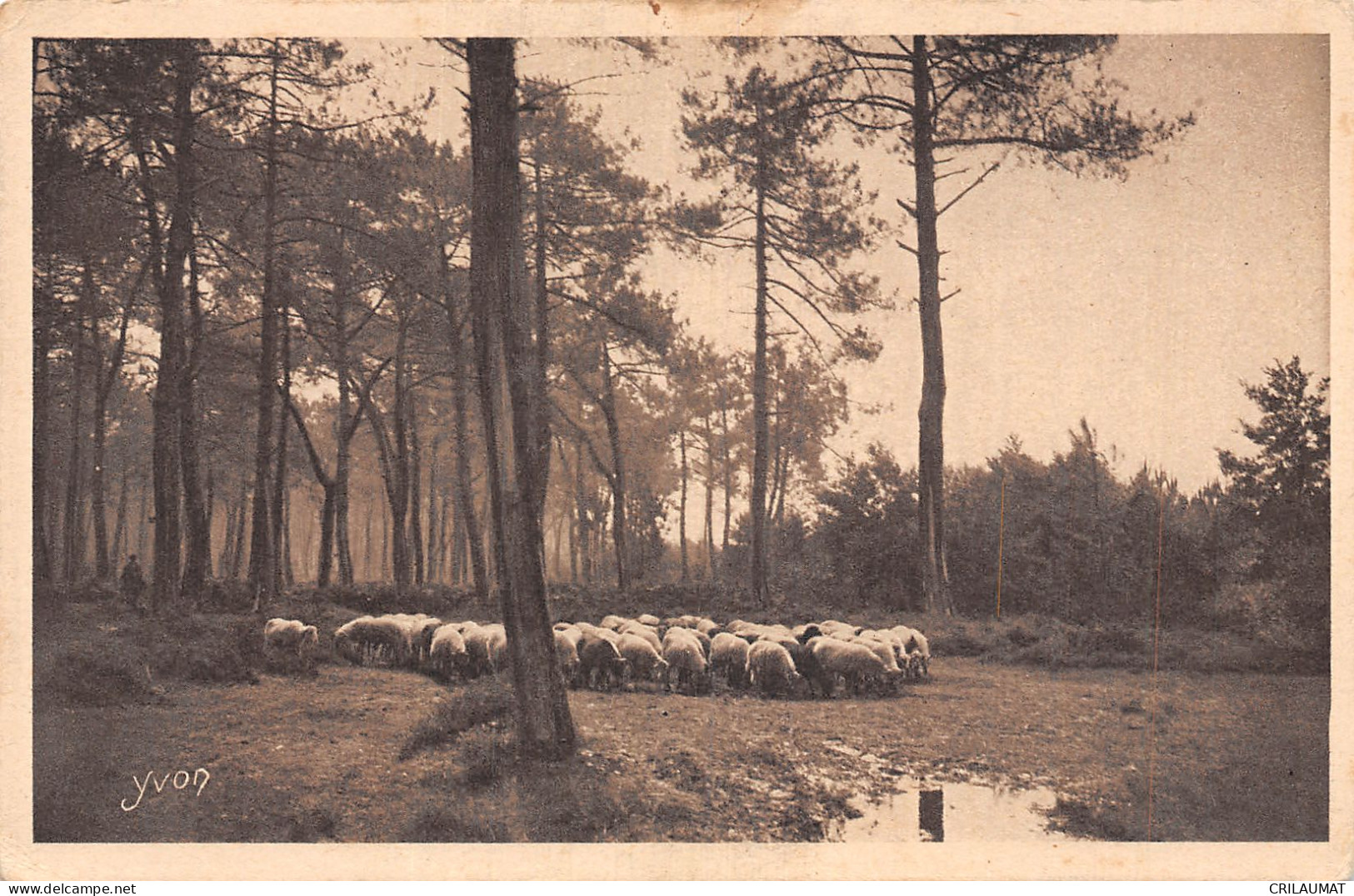 40-LES LANDES-N°T5091-D/0043 - Autres & Non Classés