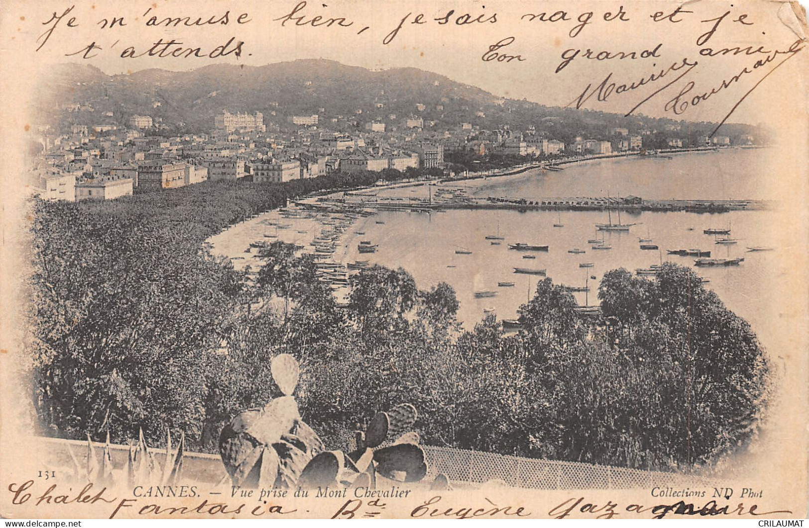 06-CANNES-N°T5091-B/0373 - Cannes