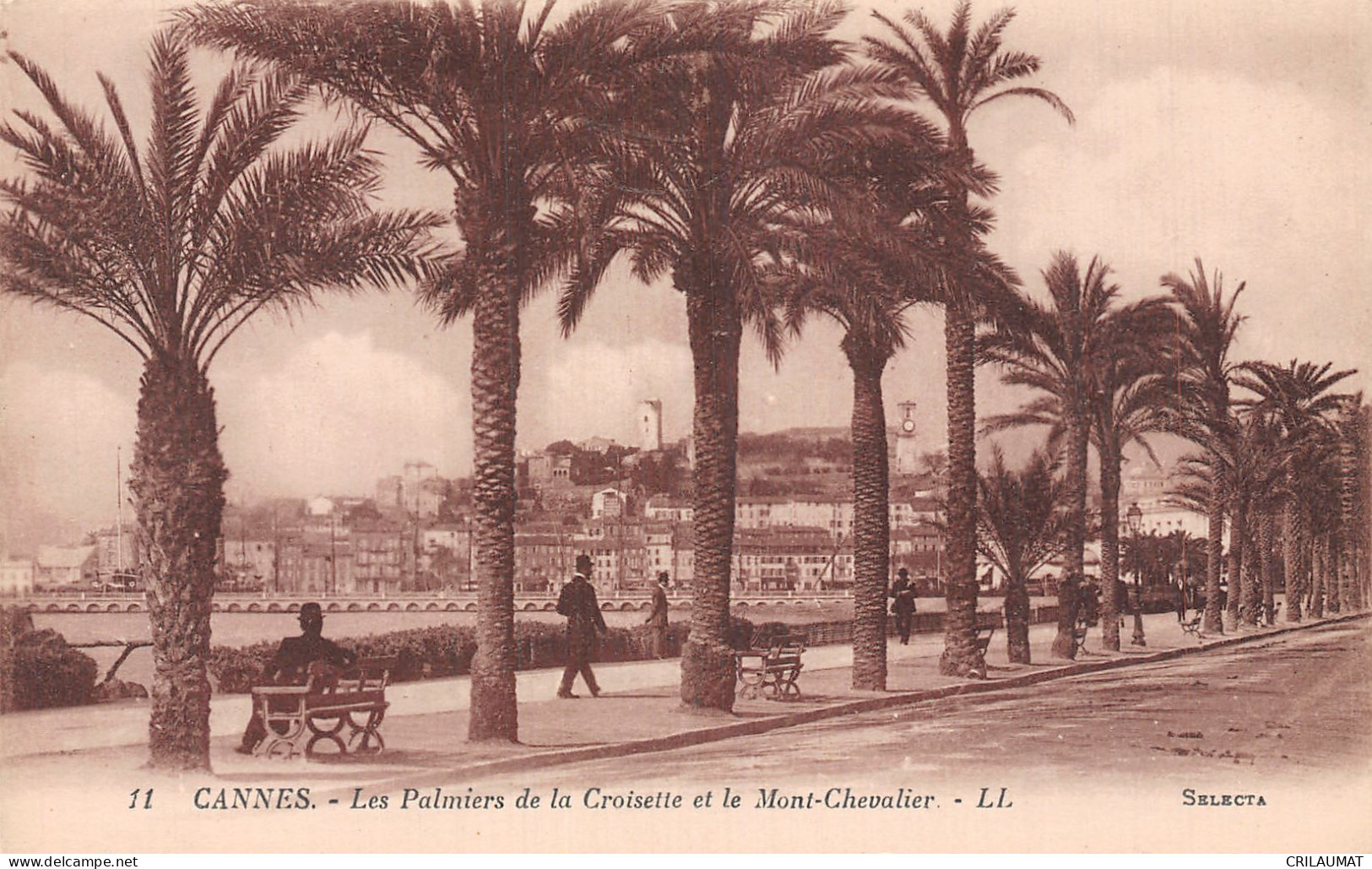 06-CANNES-N°T5091-B/0297 - Cannes