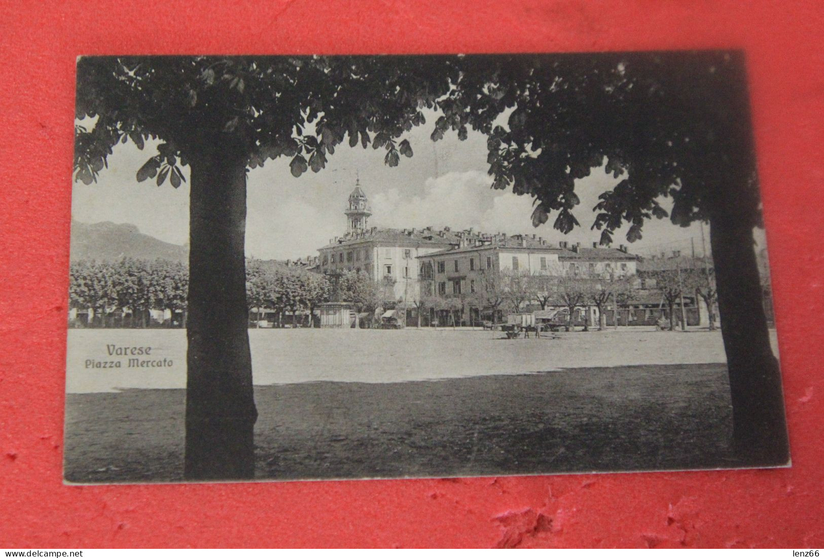 Varese Piazza Mercato 1925 Ed. Brunner Non Comune+++++ - Varese