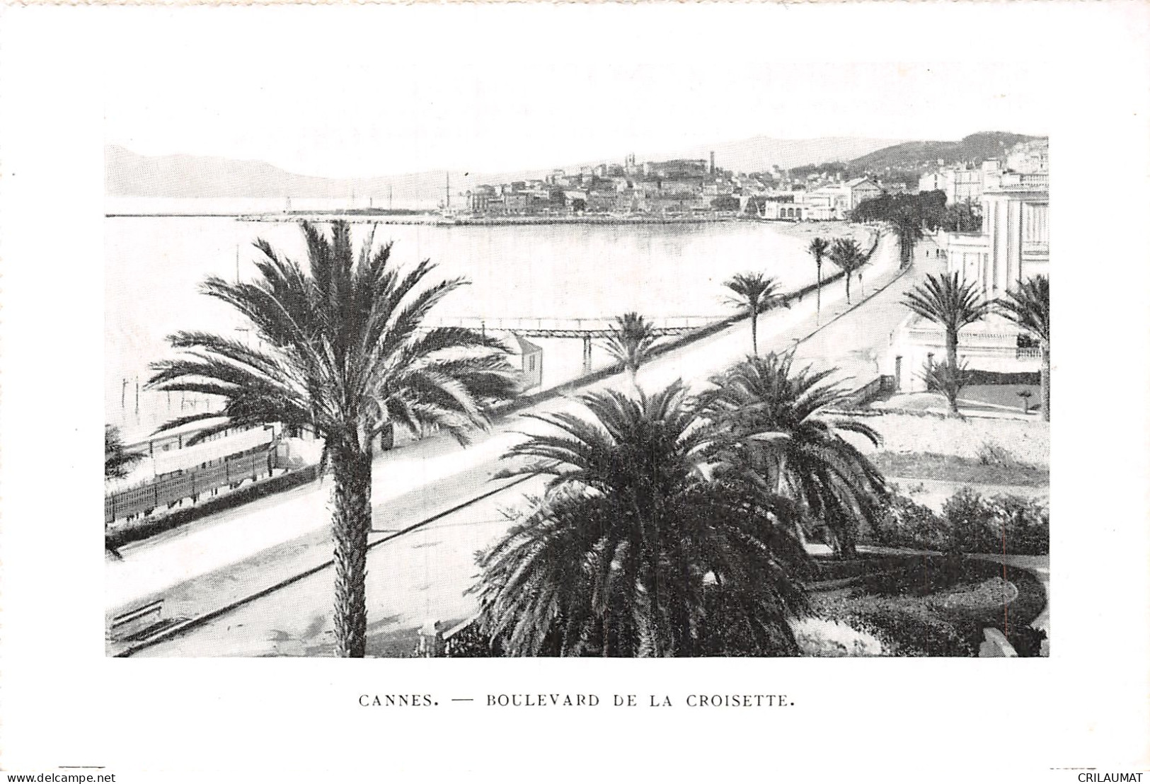 06-CANNES-N°T5091-F/0149 - Cannes