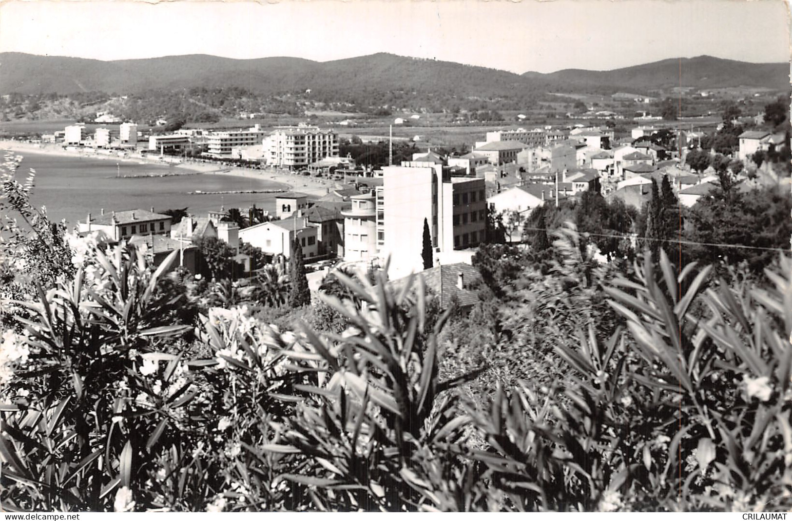 83-LE LAVANDOU-N°T5091-F/0037 - Le Lavandou