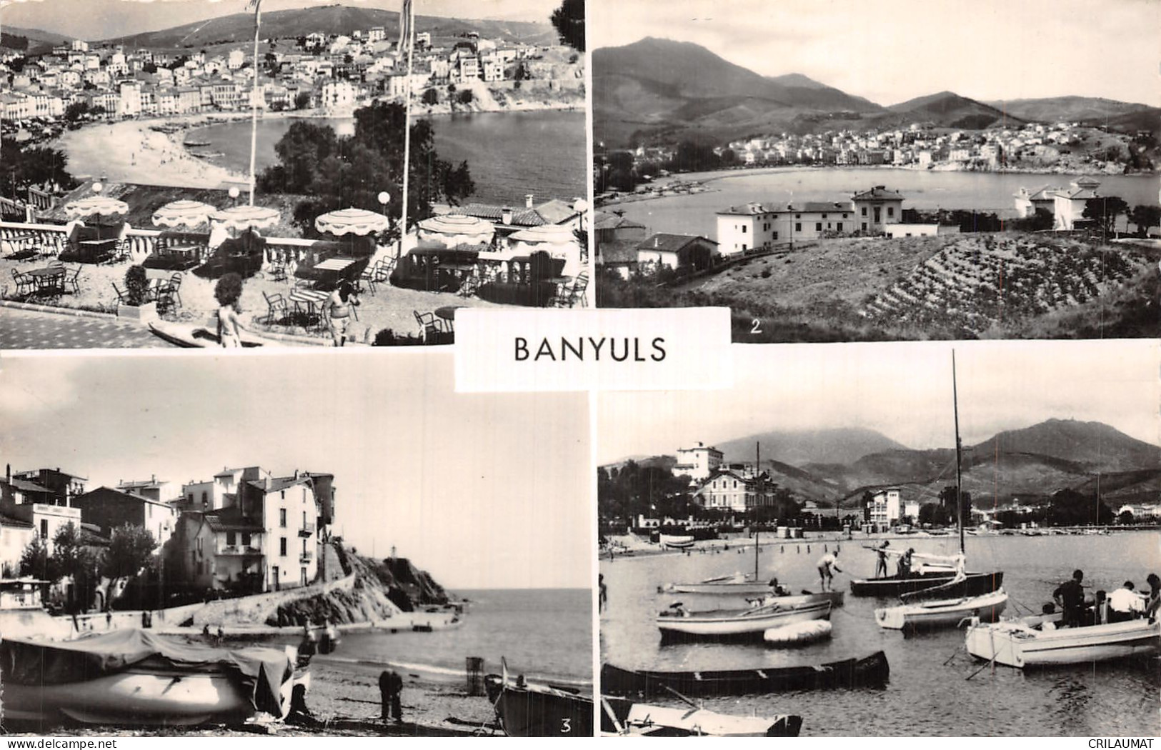 66-BANYULS SUR MER-N°T5091-F/0011 - Banyuls Sur Mer