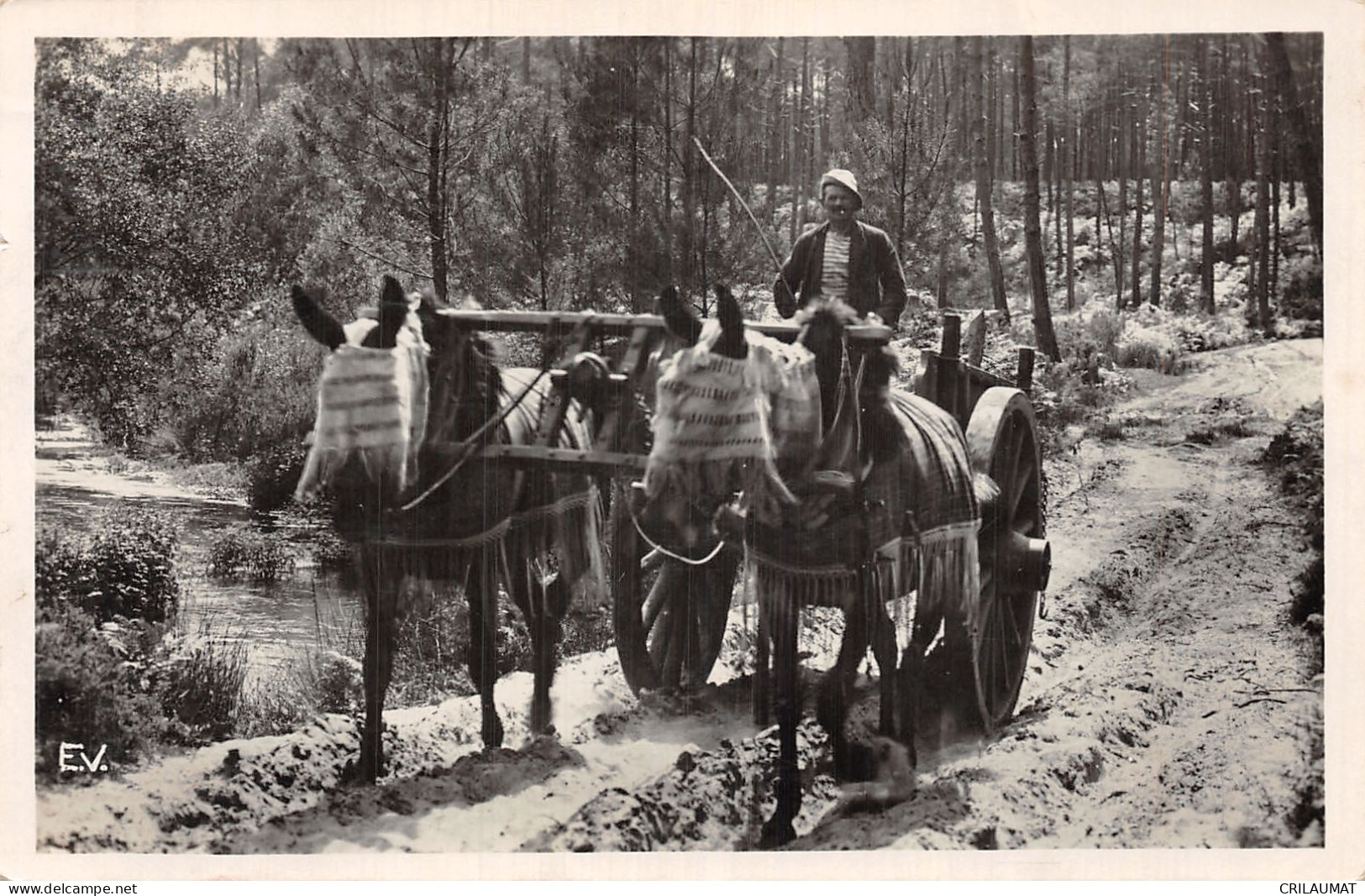 40-LANDES-N°T5092-A/0133 - Otros & Sin Clasificación