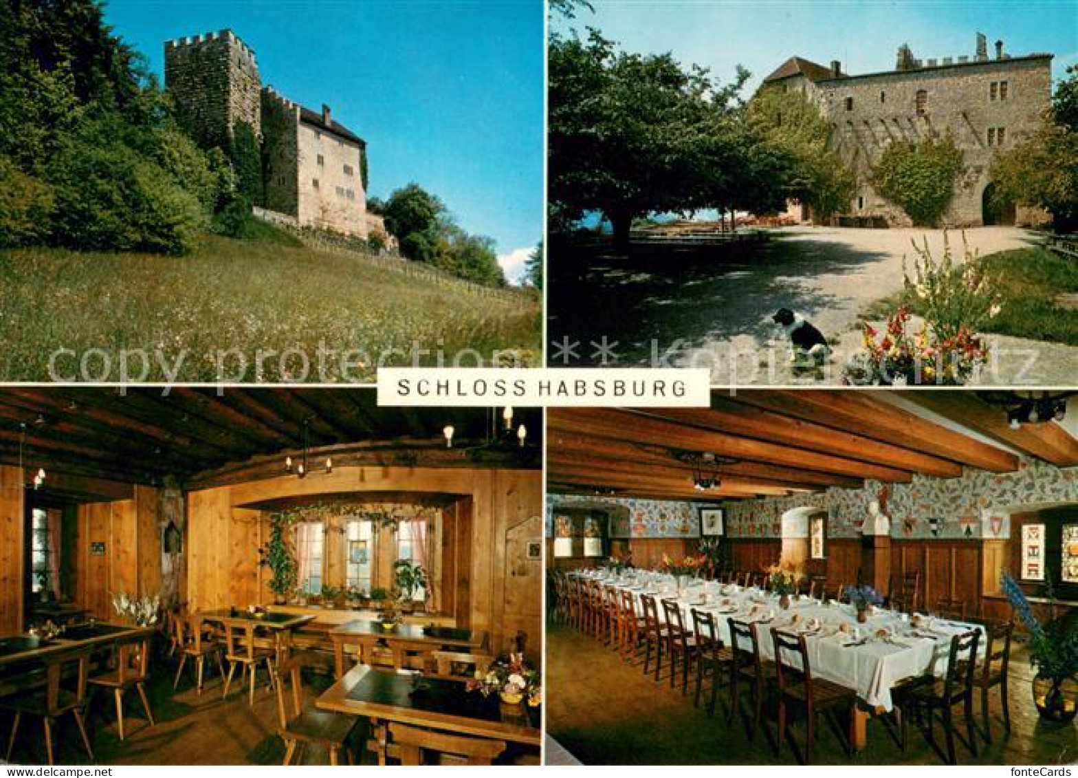 13633335 Brugg AG Schloss Habsburg Ausflugsziel Restaurant Brugg AG - Sonstige & Ohne Zuordnung