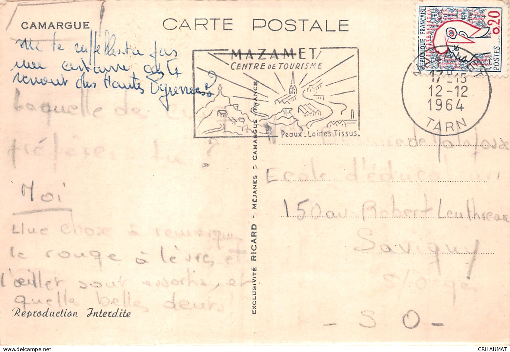 13-CAMARGUE-N°T5092-C/0071 - Other & Unclassified