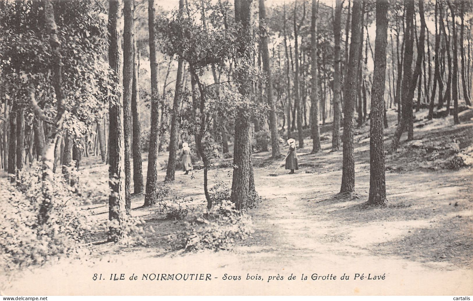 85-NOIRMOUTIER-N°4462-G/0361 - Noirmoutier