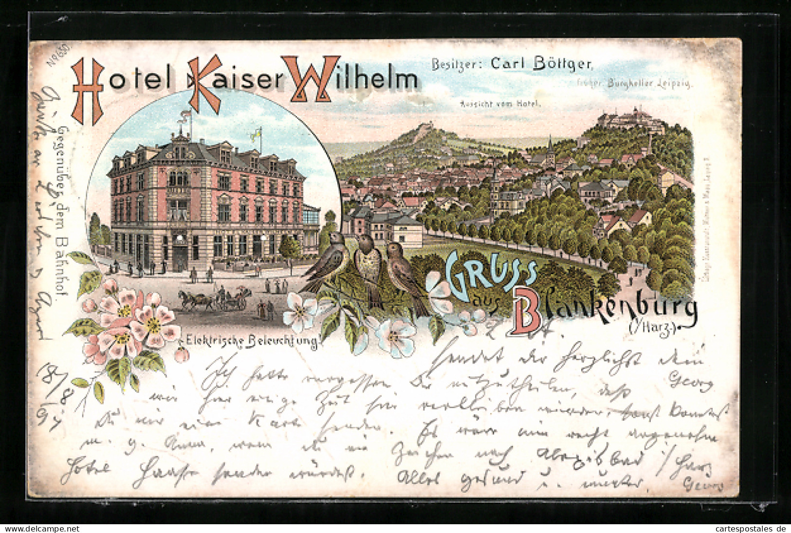 Lithographie Blankenburg / Harz, Hotel Kaiser Wilhelm, Aussicht Vom Hotel  - Blankenburg