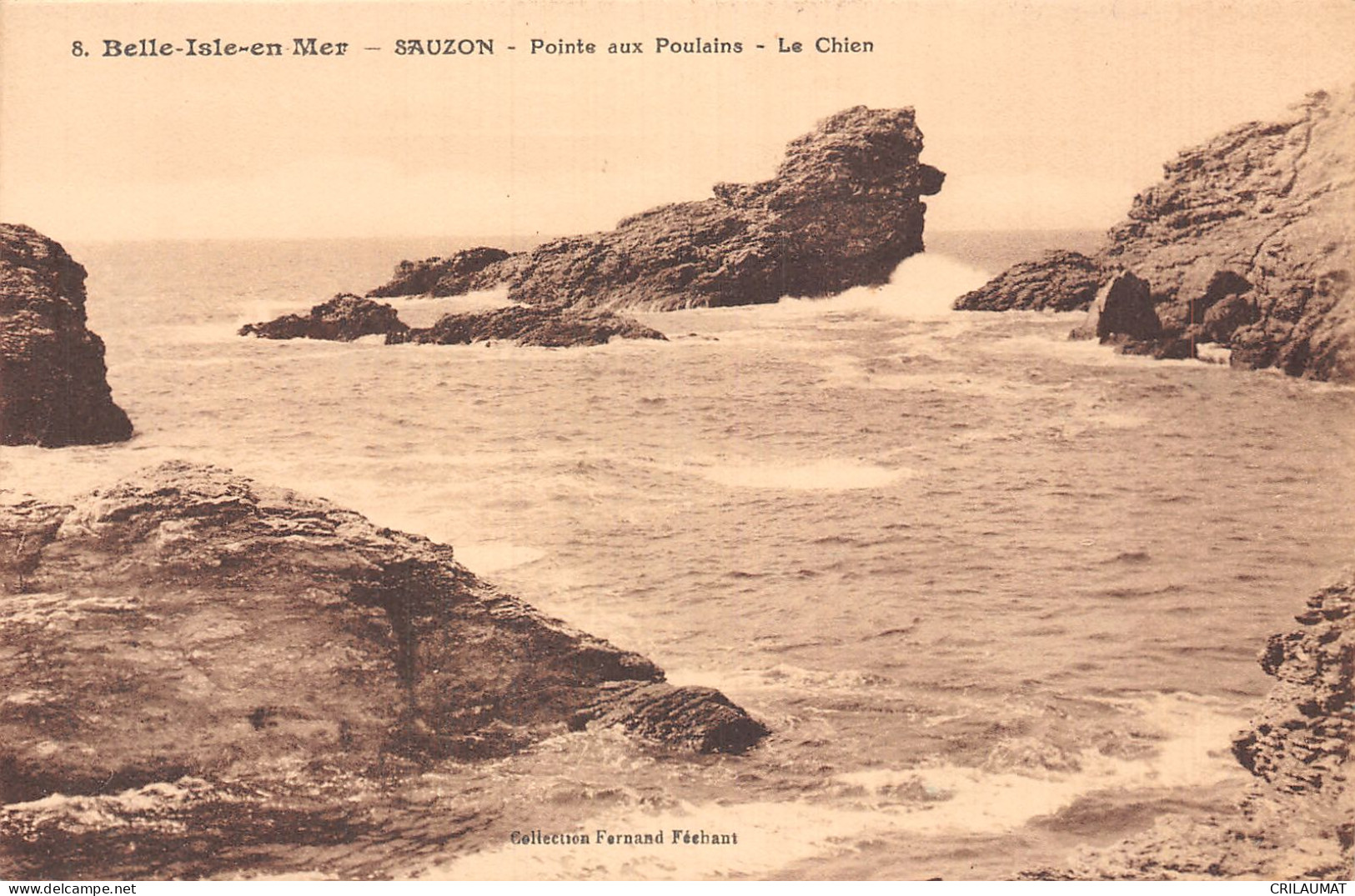 56-BELLE ISLE EN MER-N°T5092-E/0329 - Belle Ile En Mer