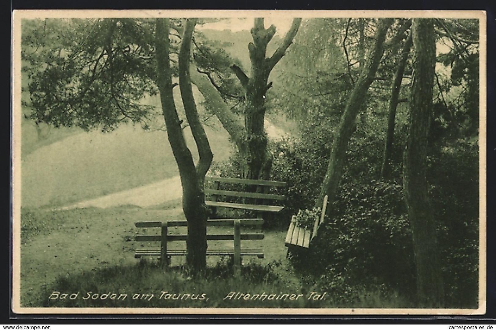 AK Bad Soden Am Taunus, Altenhainer Tal  - Taunus