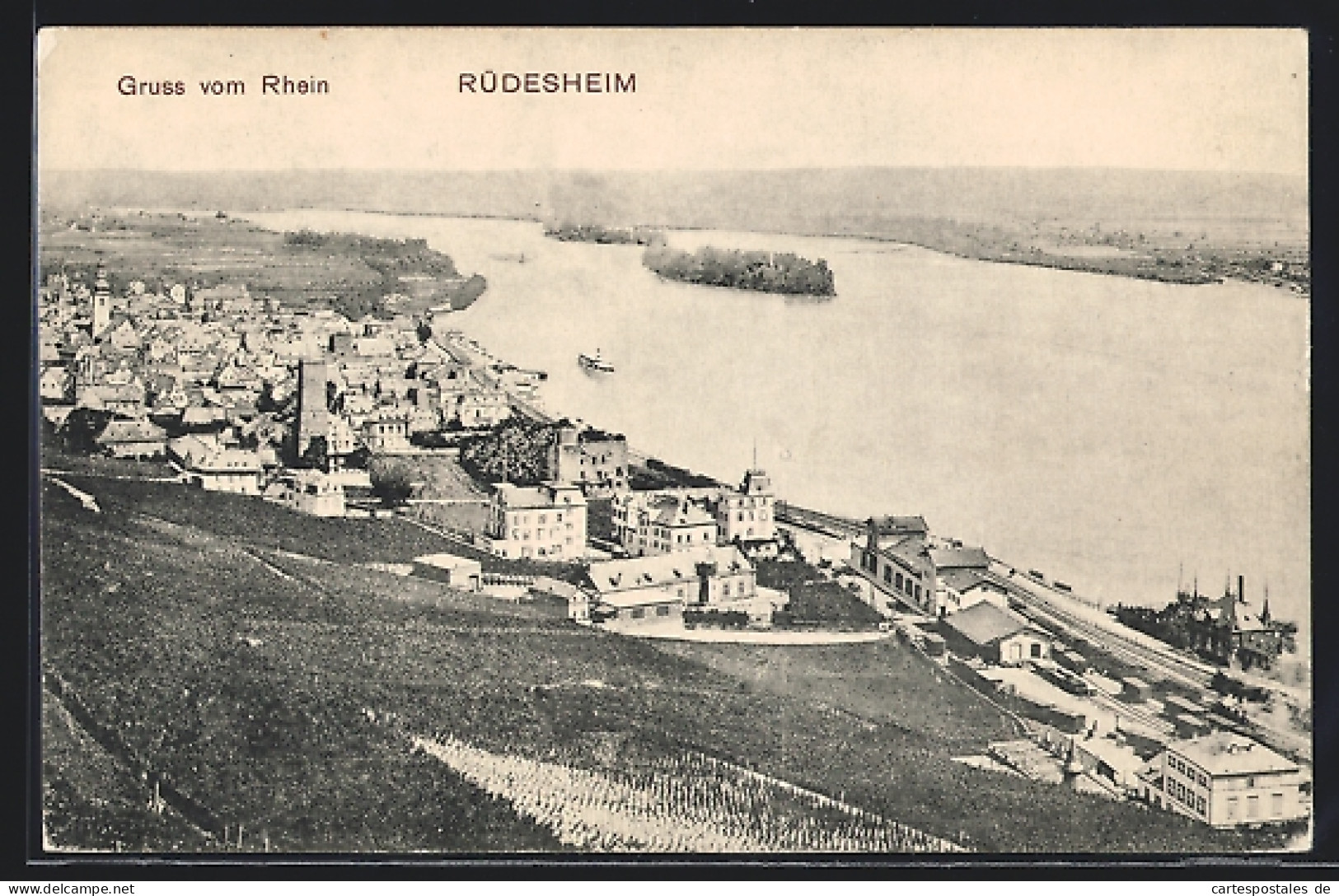 AK Rüdesheim /Rhein, Teilansicht  - Ruedesheim A. Rh.